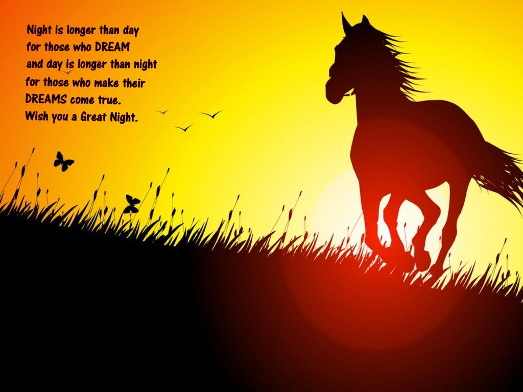 fonds d'écran bonne nuit avec des citations,cheval,silhouette,cheval mustang,crinière,étalon