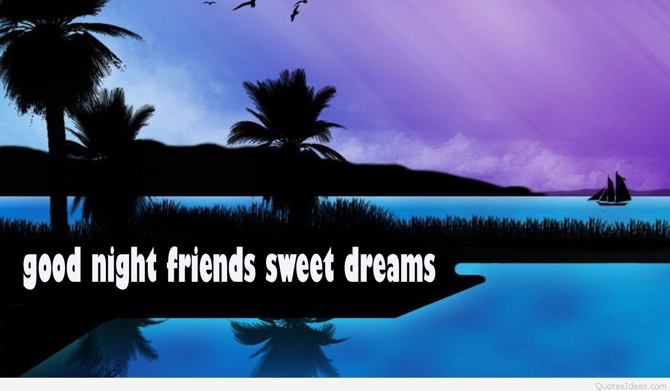 good night friends wallpaper,nature,sky,tree,reflection,palm tree