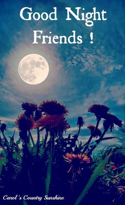 good night friends wallpaper,nature,sky,dandelion,text,moon