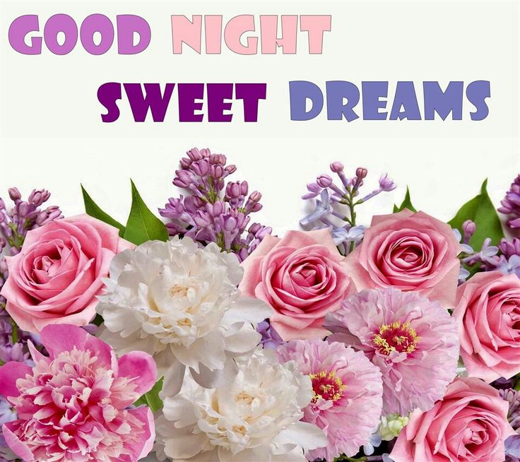 good night flowers wallpapers,flower,cut flowers,pink,flower arranging,rose