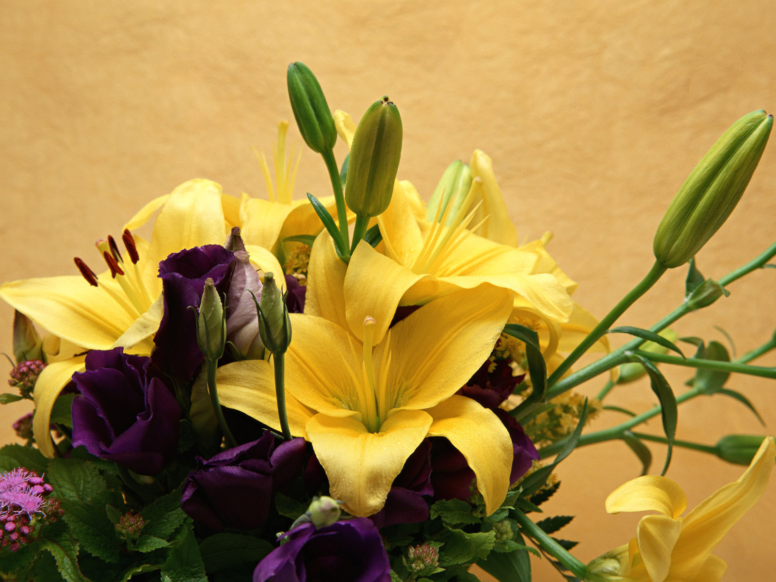 good night flowers wallpapers,flower,lily,bouquet,petal,yellow