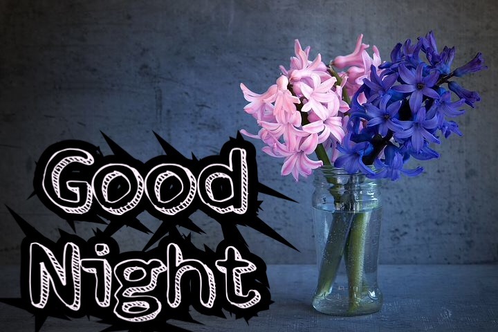 좋은 밤 꽃 배경 화면,꽃,보라색,본문,히아신스,폰트