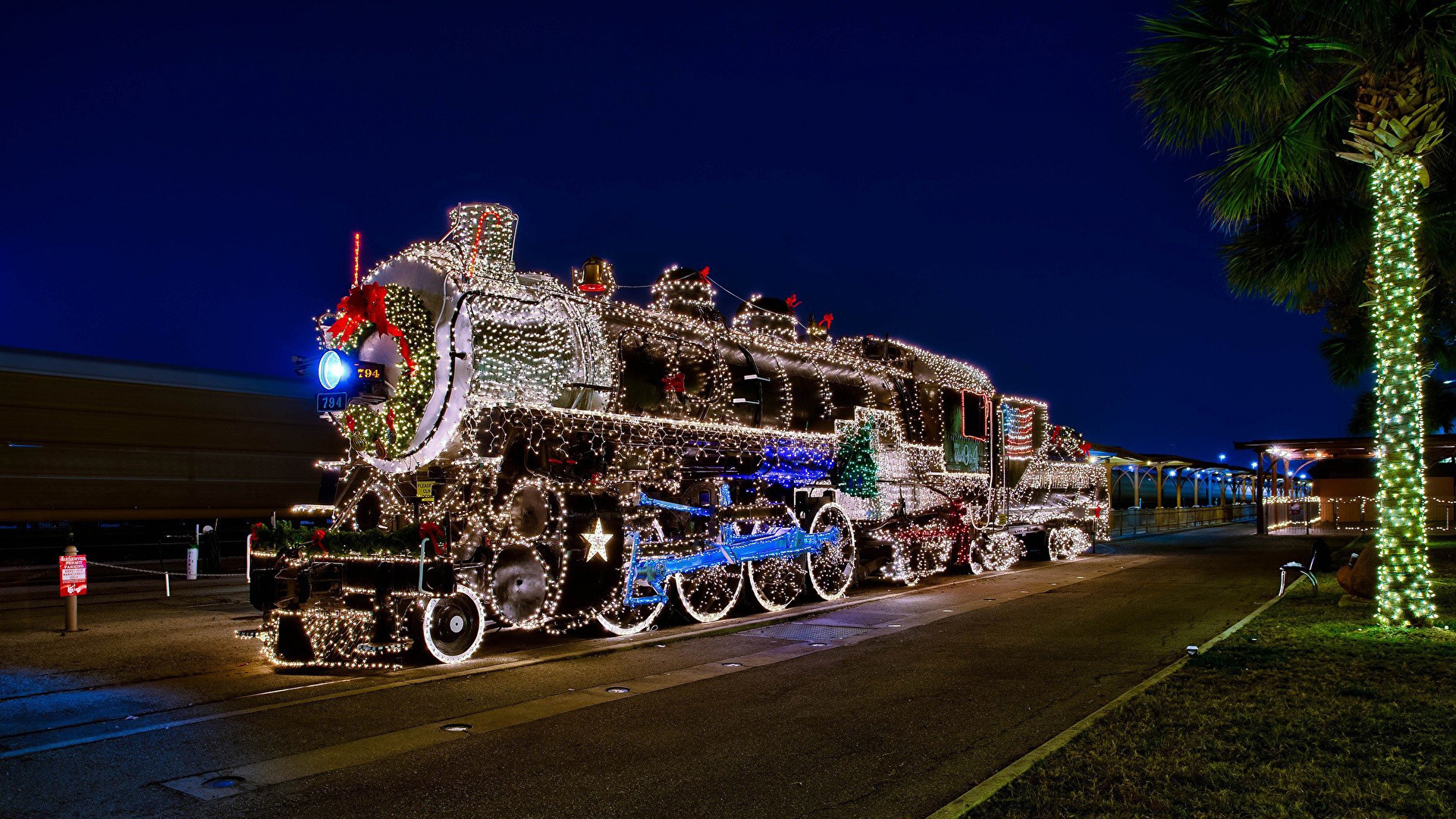 tren de pantalla en vivo,noche,cielo,árbol,vehículo,luces de navidad