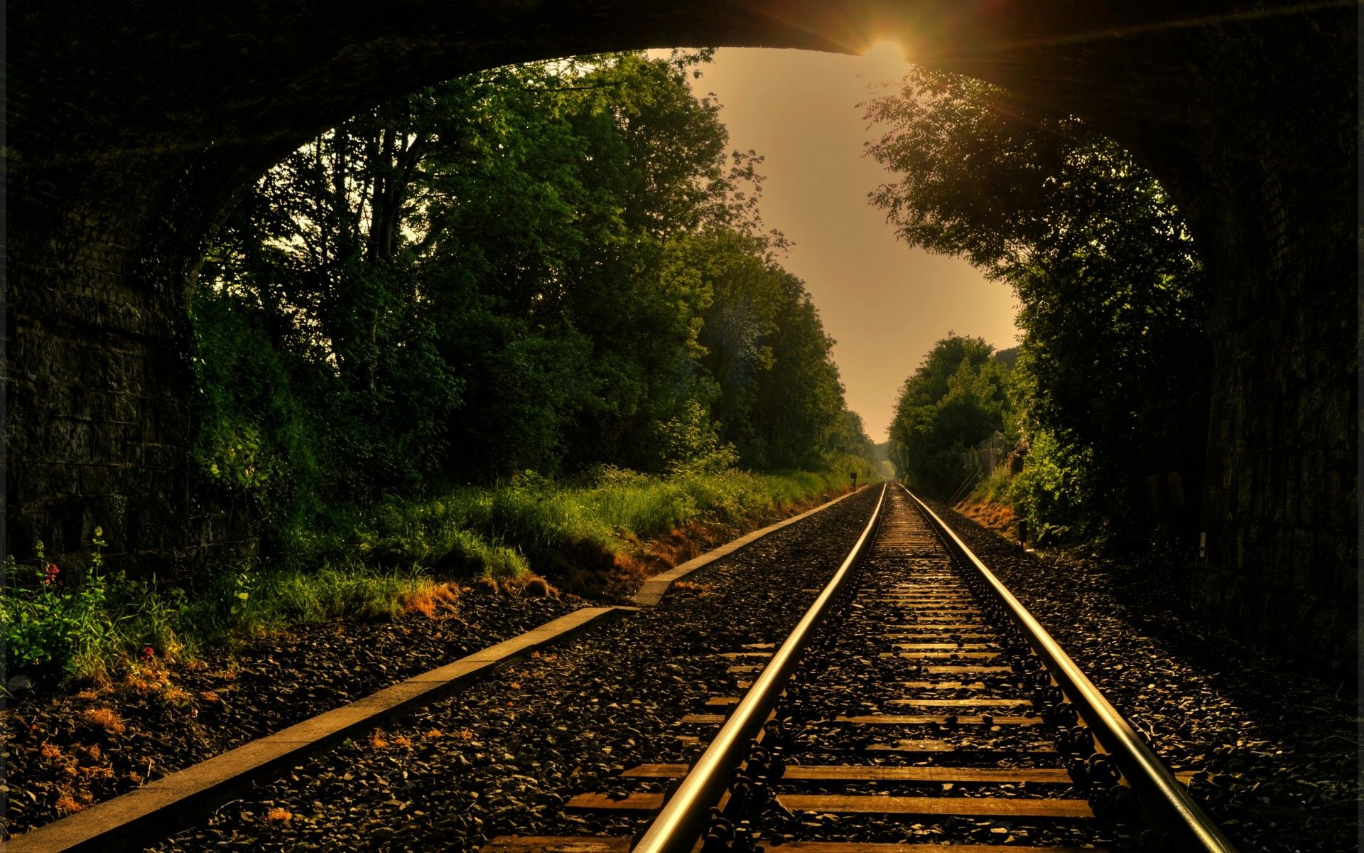 train wallpaper for android,track,transport,nature,tree,mode of transport