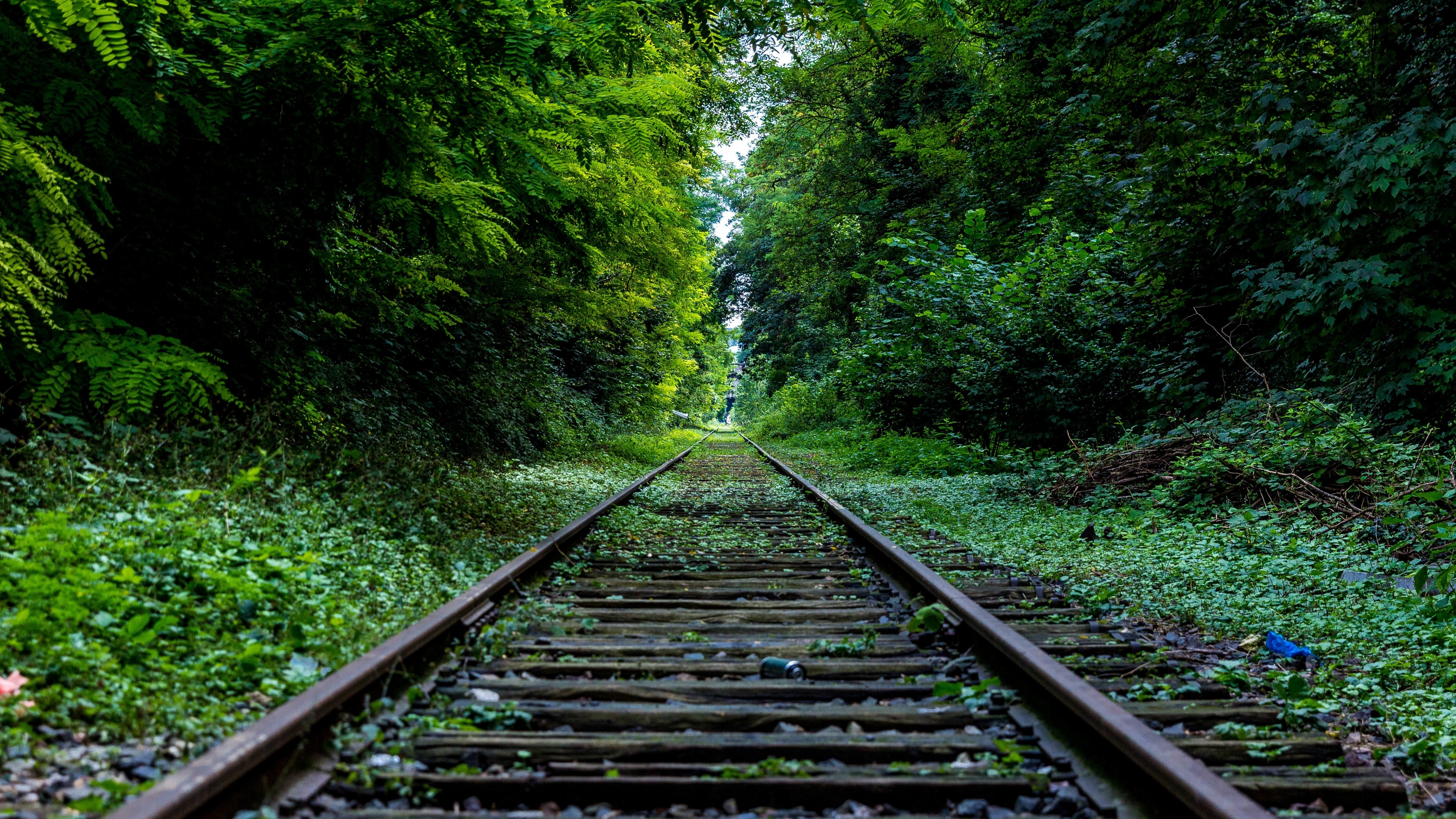 railway track wallpapers full hd,track,transport,nature,green,natural landscape