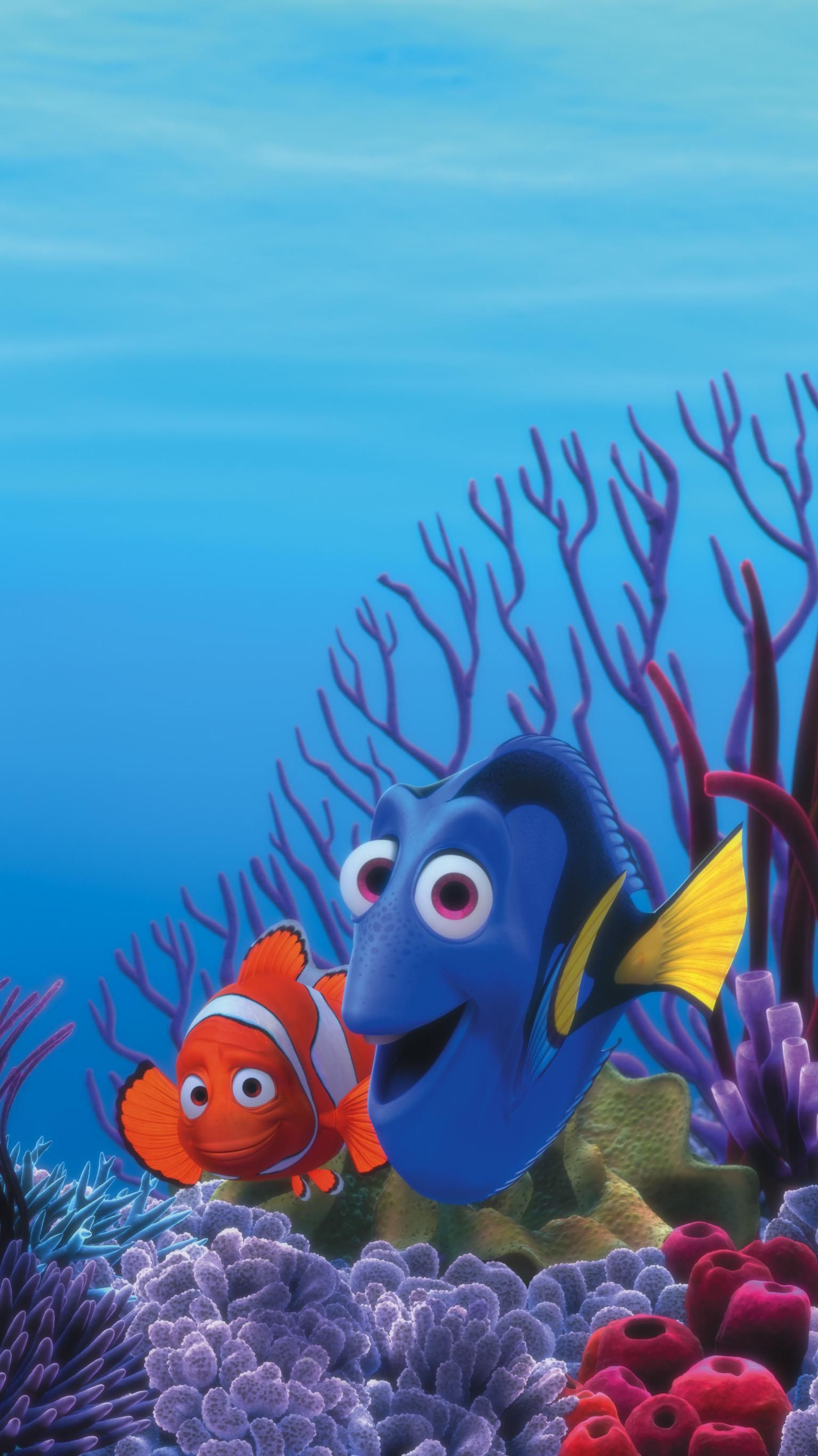 nemo wallpaper finden,fisch,unter wasser,meeresbiologie,korallenrifffische,korallenriff