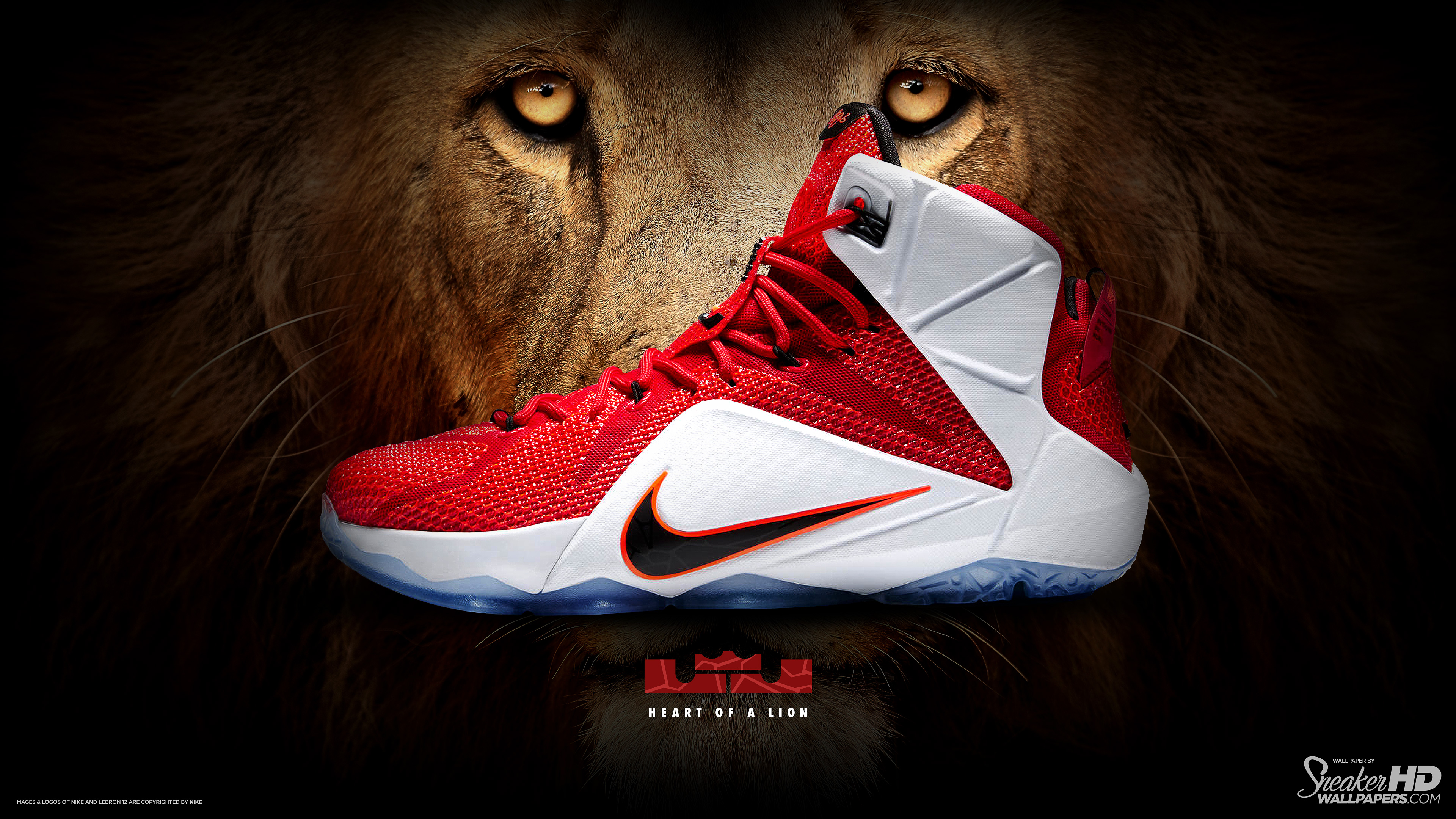 lebron james chaussures fond d'écran,chaussure,blanc,rouge,chaussure,tenue de sport