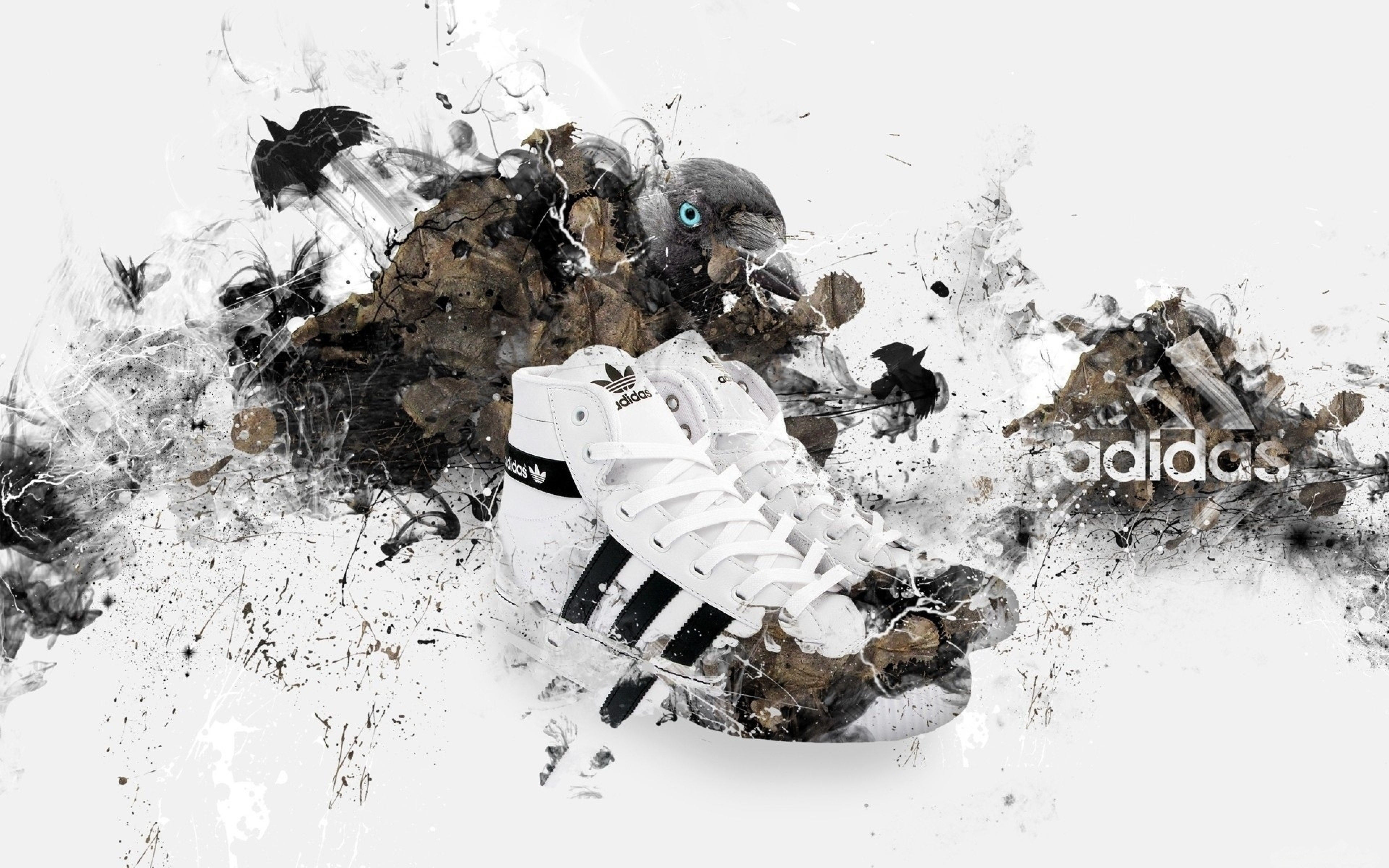 fond d'écran chaussures adidas,illustration,conception graphique