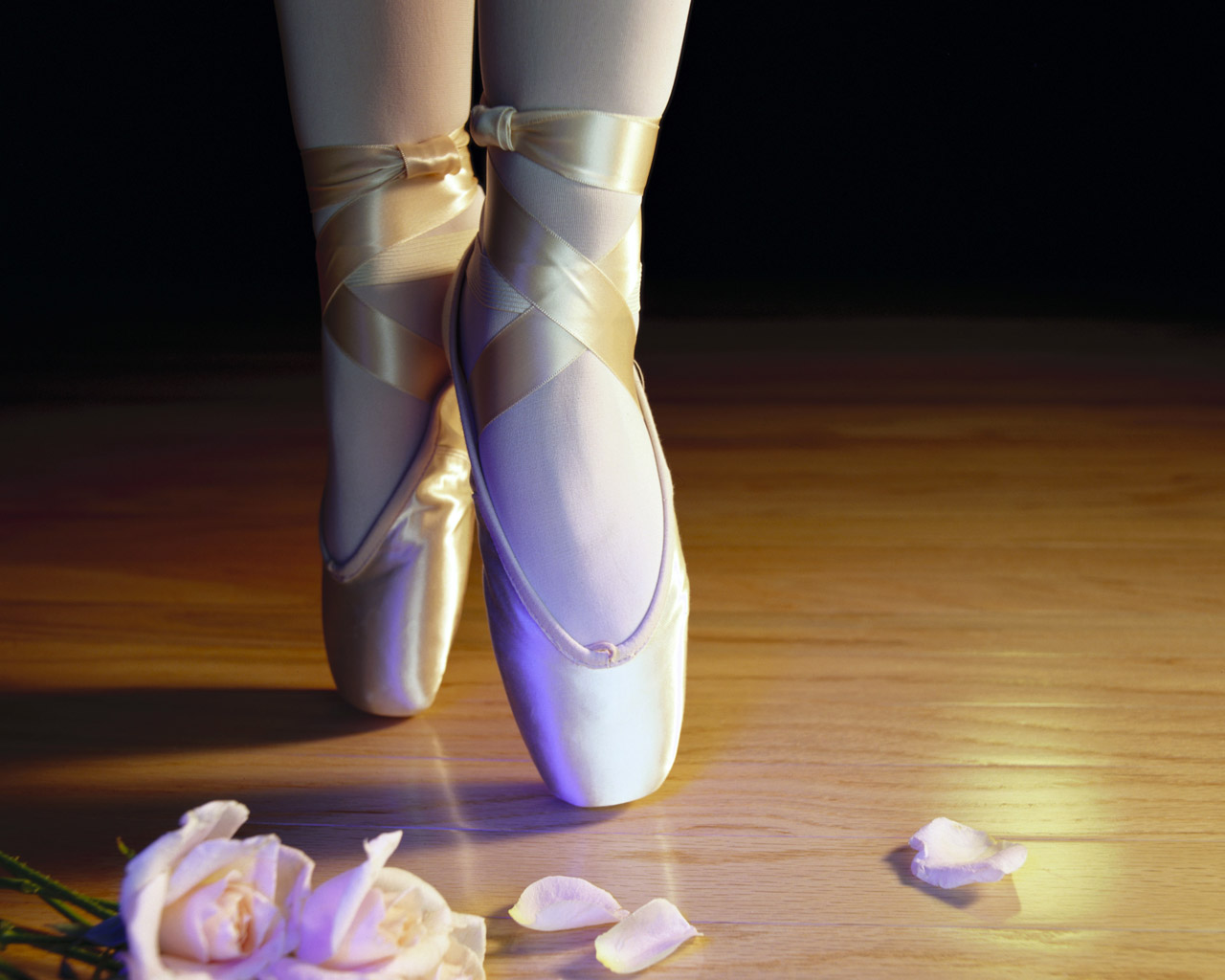 Pointe Shoes Wallpaper- WallpaperUse