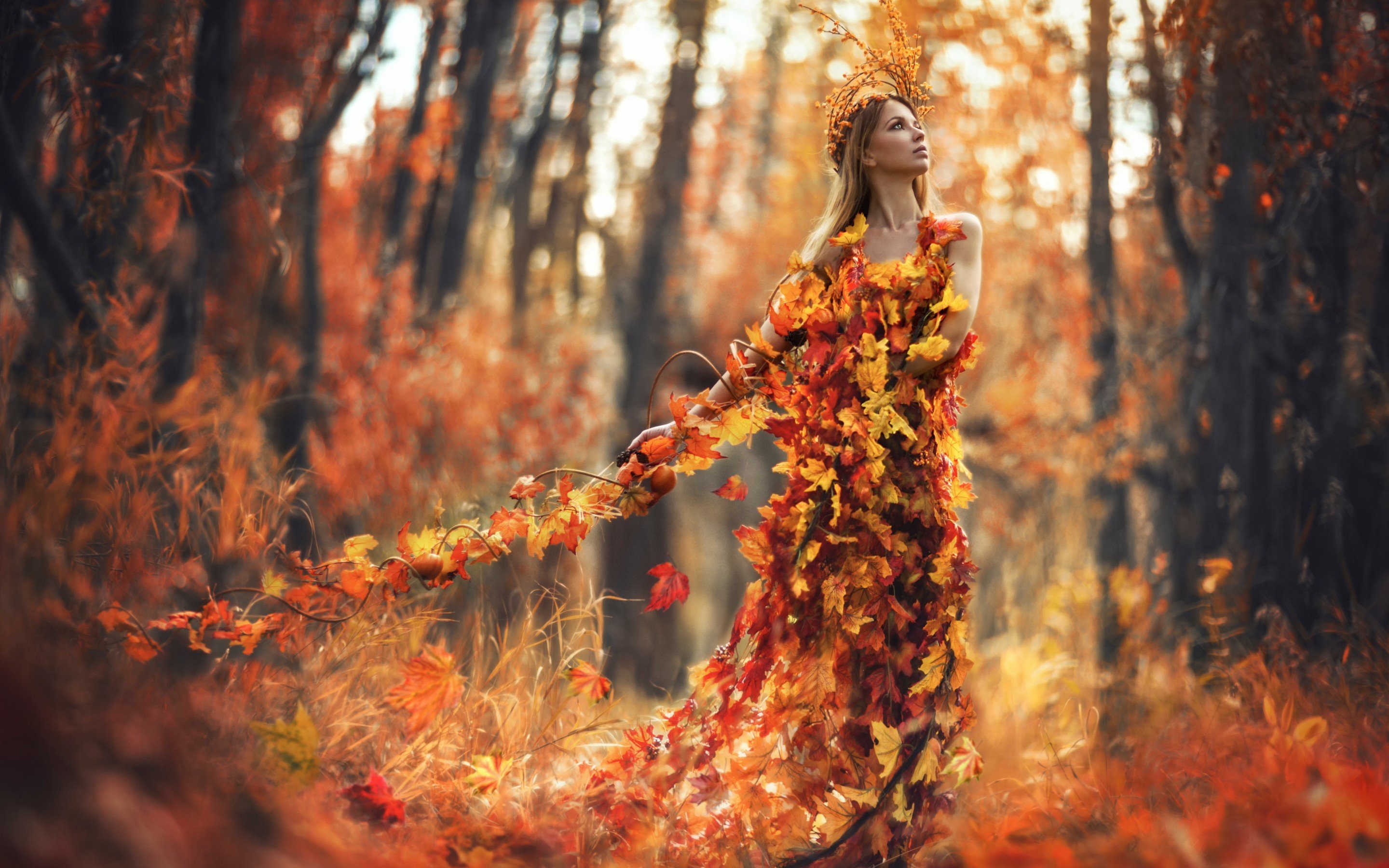 kadın wallpaper,tree,natural environment,leaf,autumn,forest