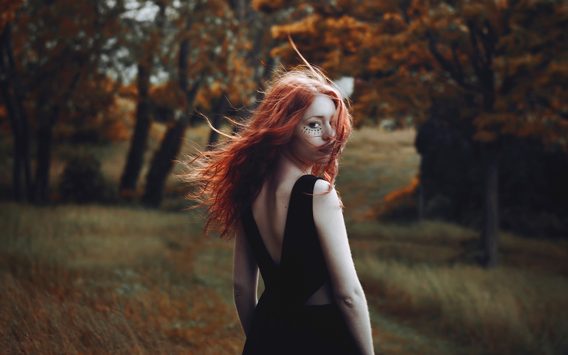 fond d'écran fille de retour,cheveux,beauté,feuille,arbre,cheveux roux