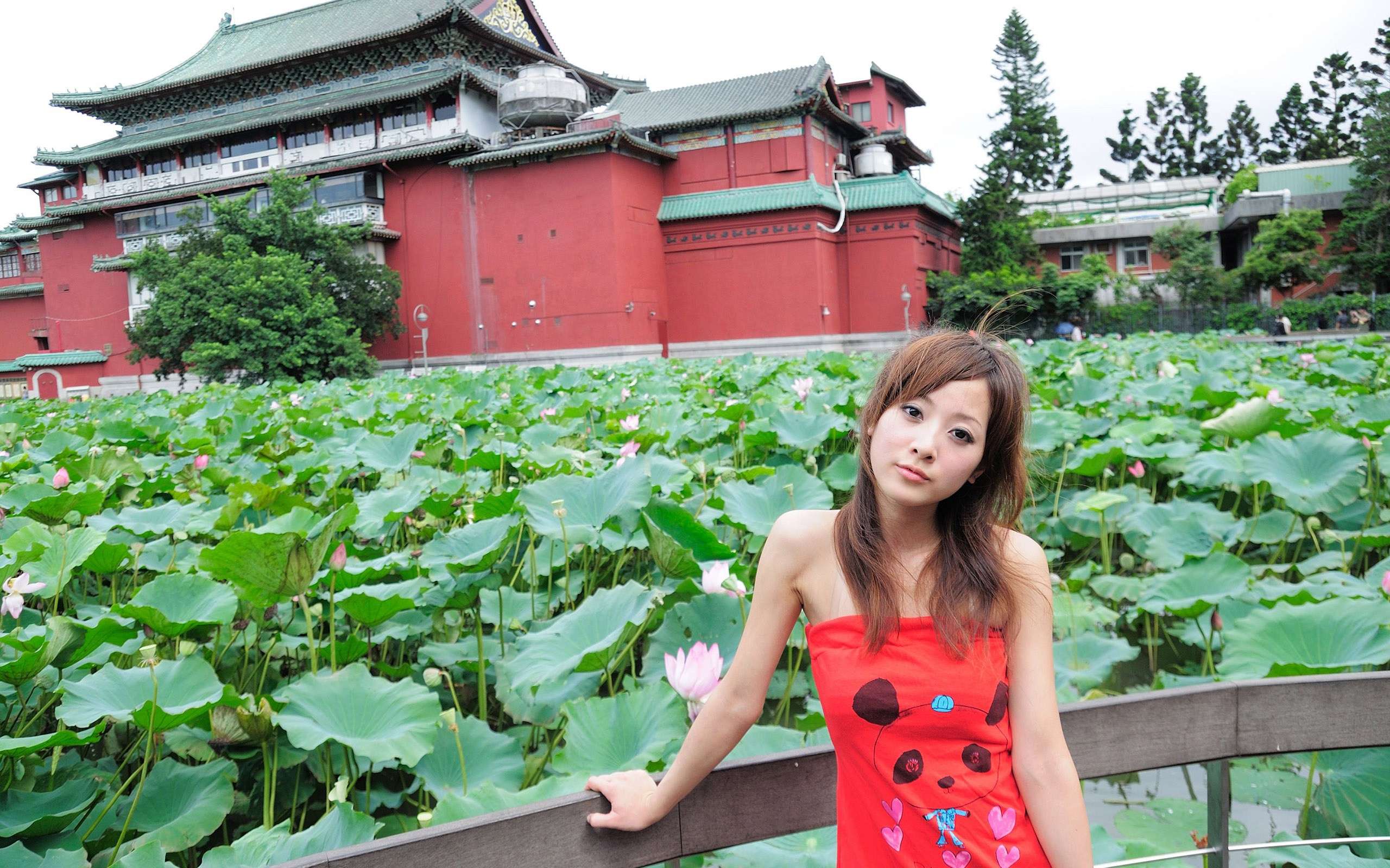 real girl wallpaper,leisure,botany,flower,plant,lotus family