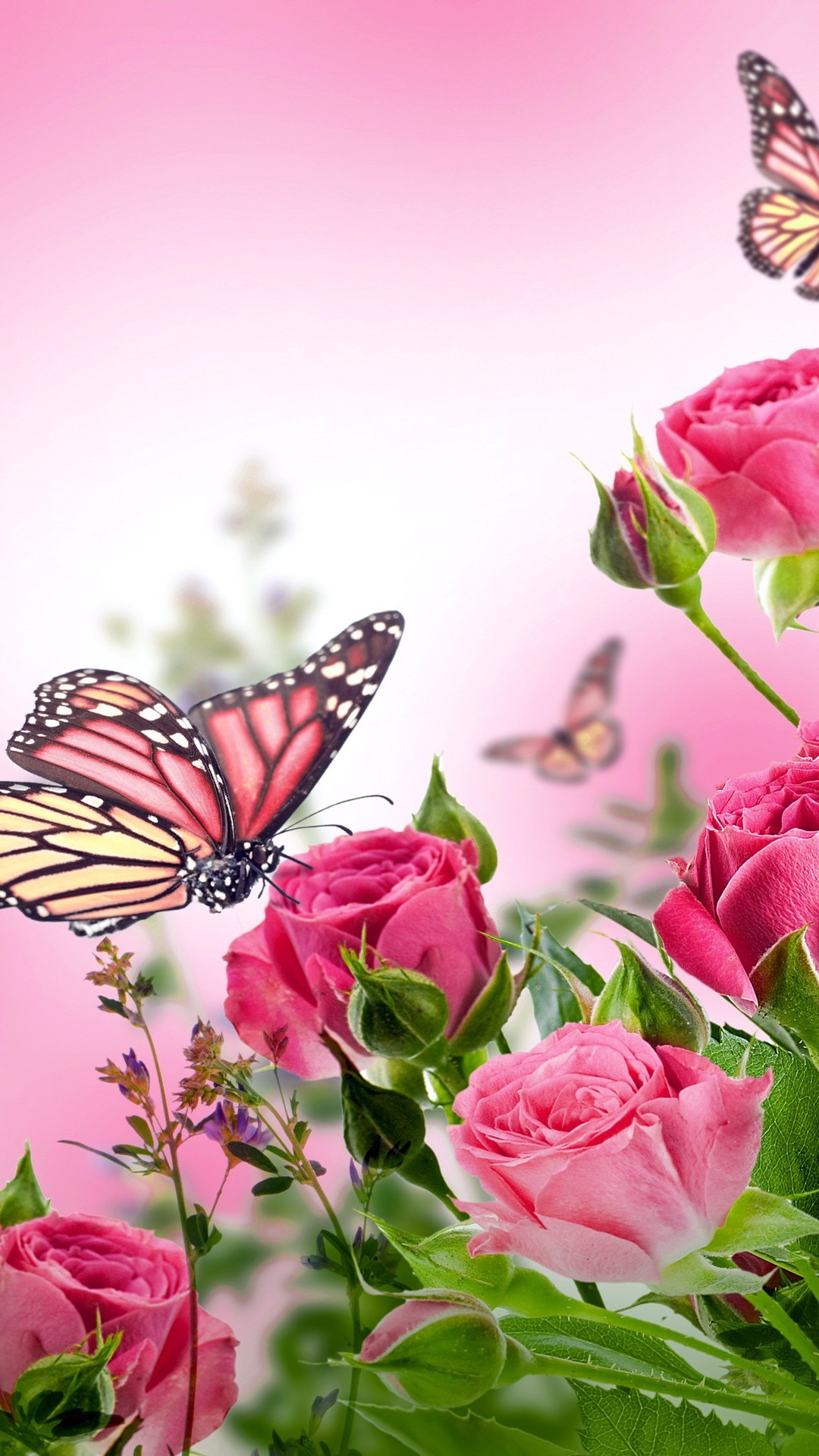 butterfly wallpaper mobile,butterfly,pink,flower,insect,plant