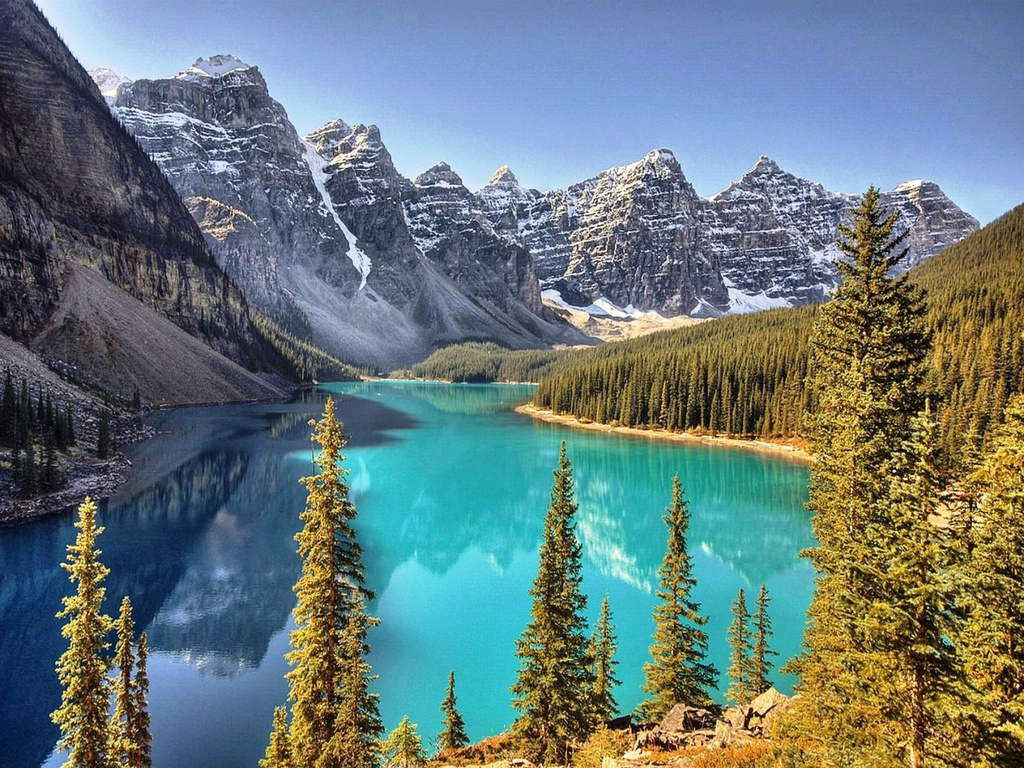 montaña imágenes fondos de pantalla,paisaje natural,alerce larix lyalliisubalpine,naturaleza,montaña,lago glacial