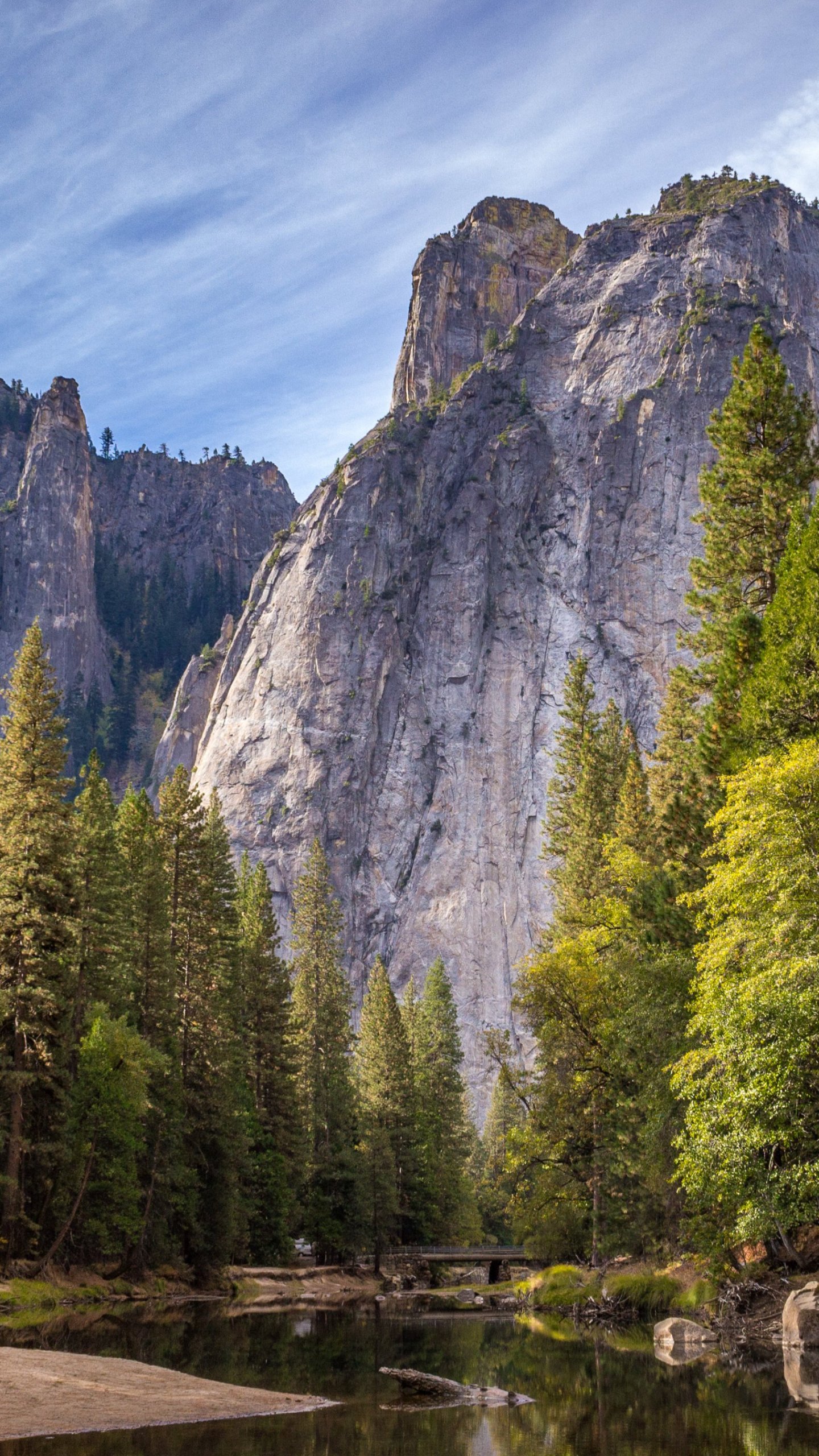 mountain pictures wallpaper,natural landscape,nature,mountainous landforms,larix lyalliisubalpine larch,mountain