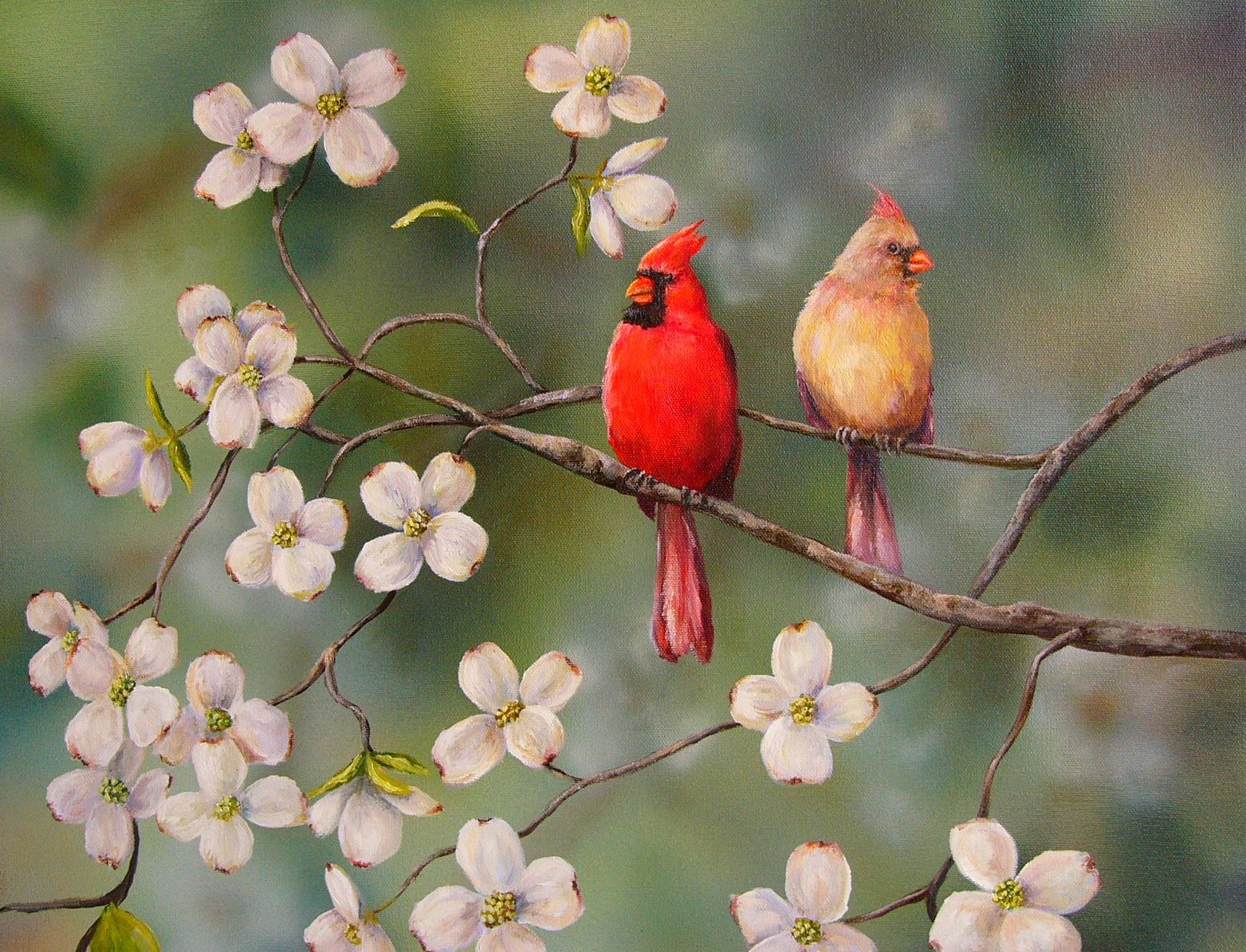 鳥の花の壁紙,鳥,北の枢機卿,枢機卿,止まった鳥,工場