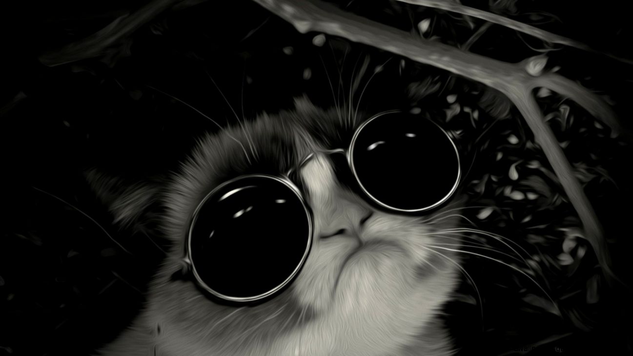 tumblr cool wallpapers,eyewear,sunglasses,black,whiskers,black and white