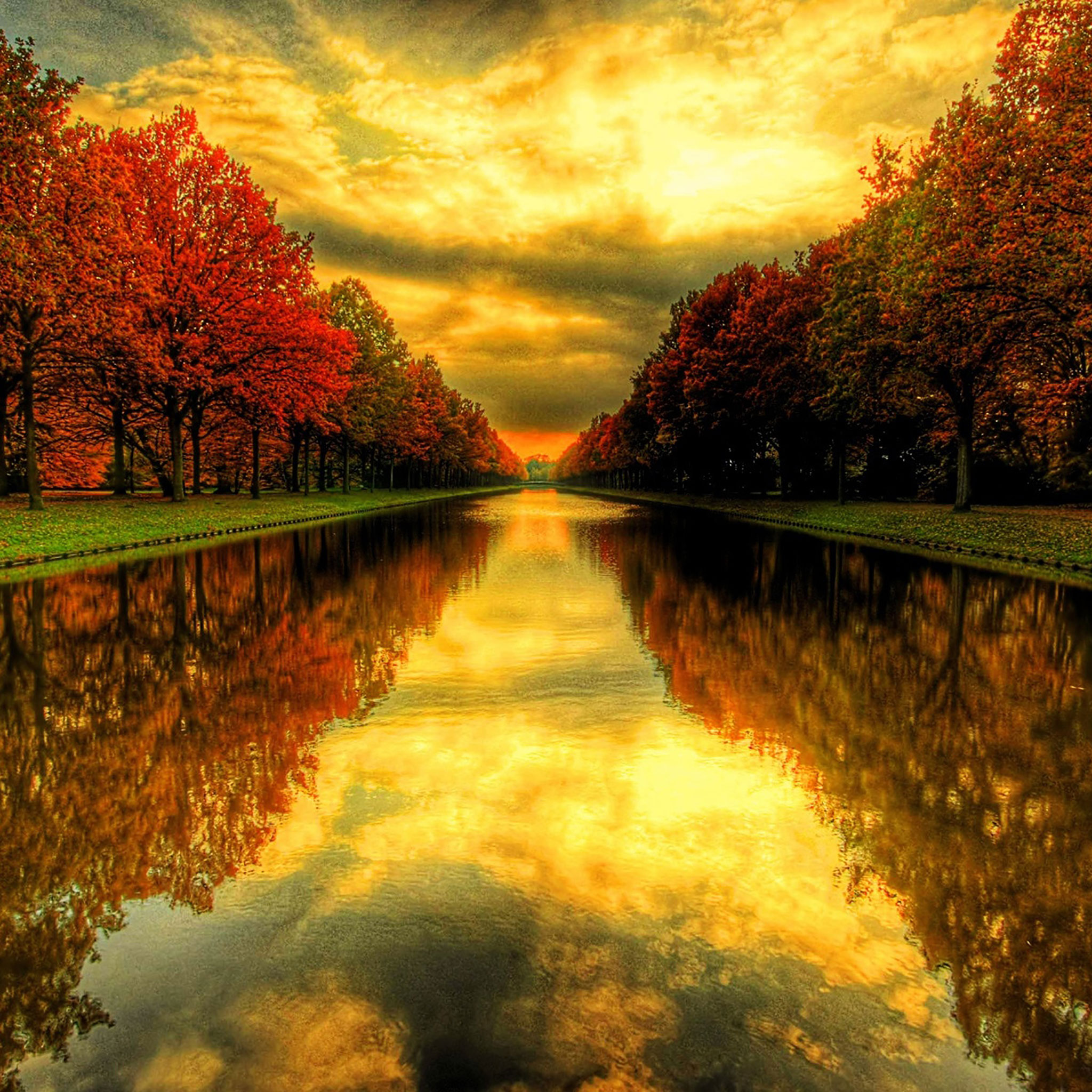 秋の計算された壁紙,自然の風景,反射,自然,空,木