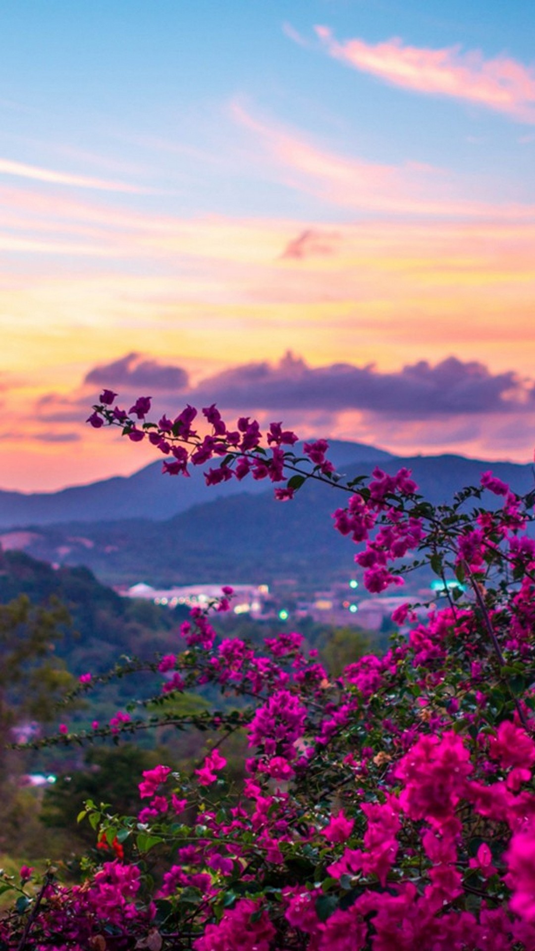 iphone desktop hintergrund,himmel,natur,rosa,blume,natürliche landschaft