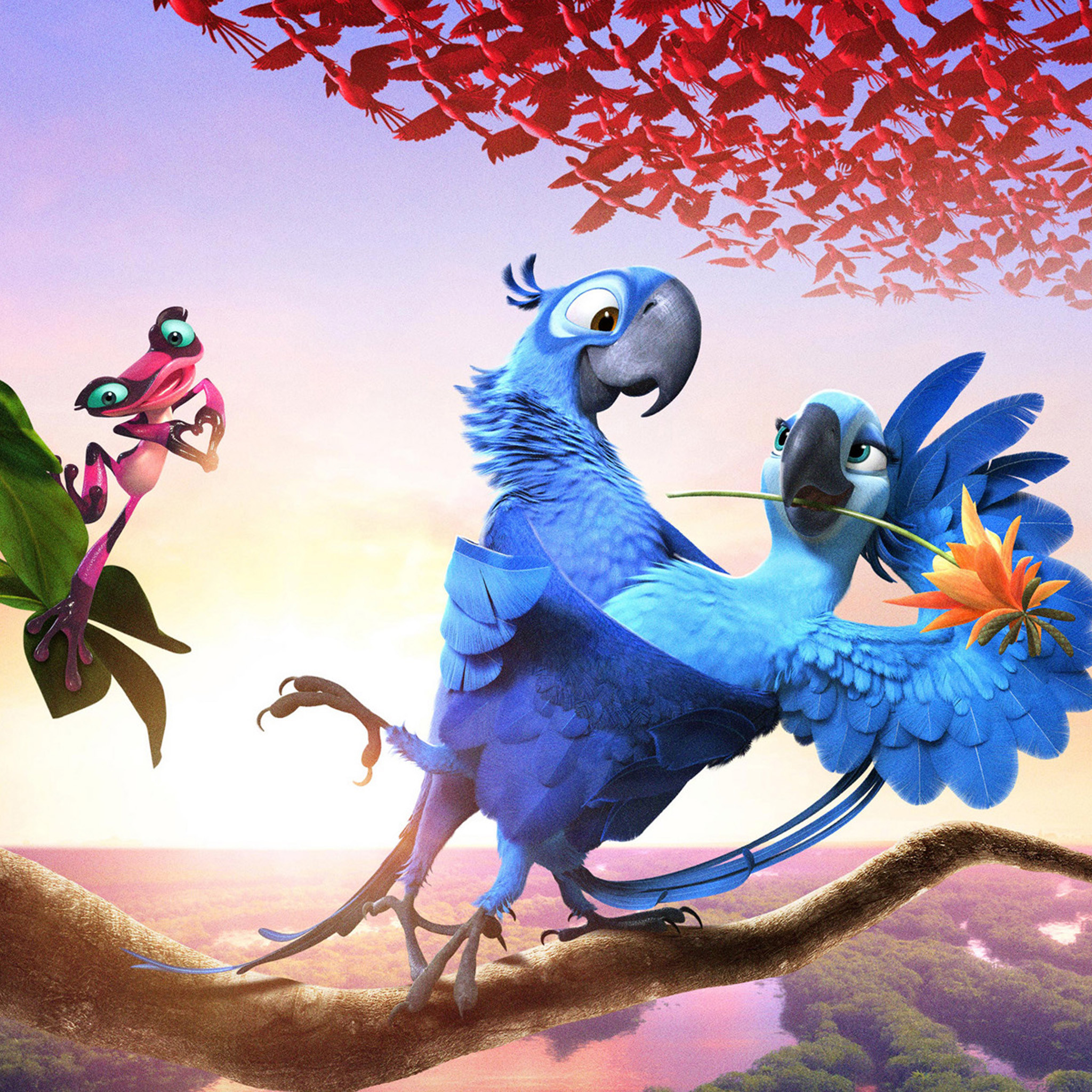 hd wallpapers for ipad air 2,bird,parrot,macaw,illustration,animation