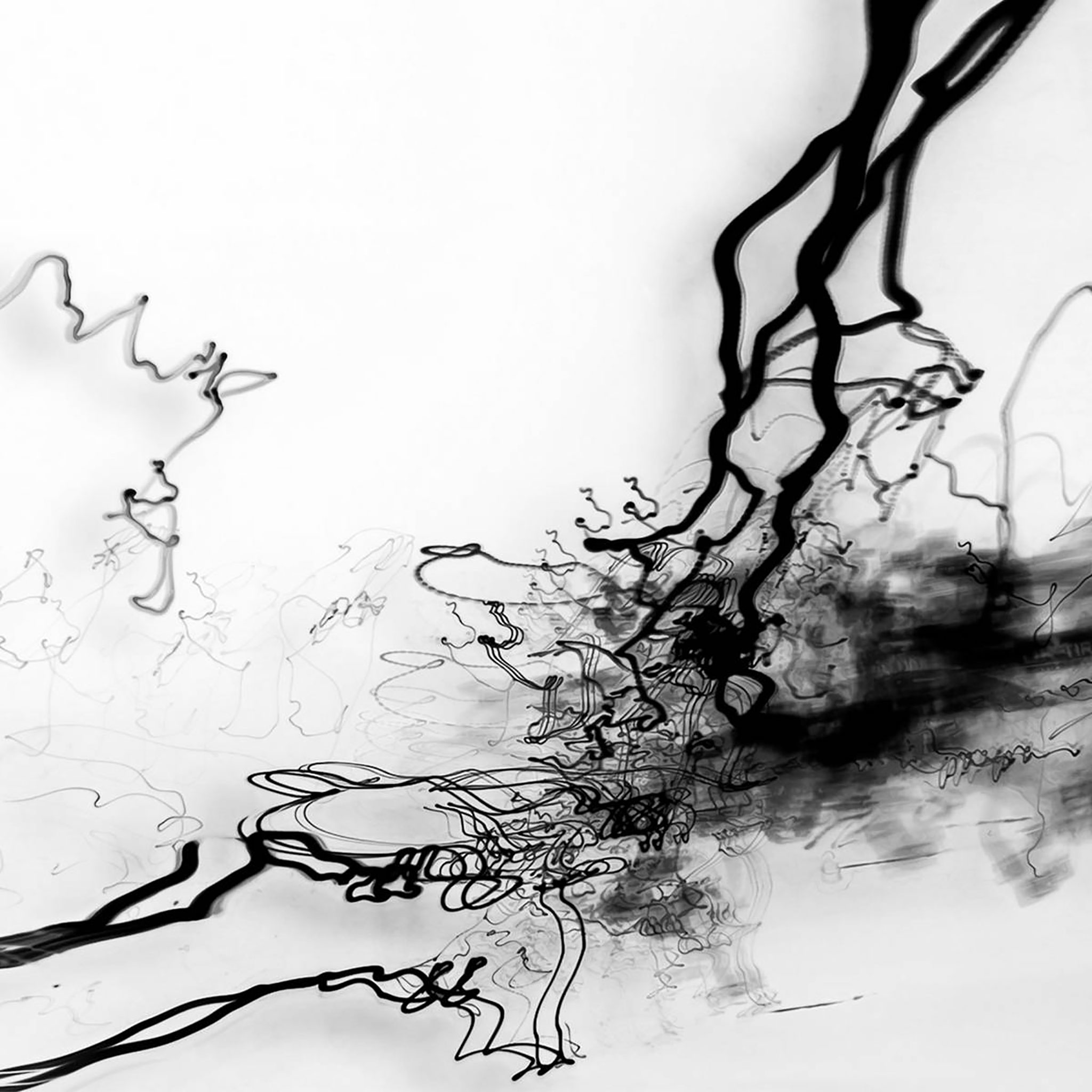 fondo de pantalla ipad blanco,en blanco y negro,monocromo,ramita,árbol,fotografía monocroma