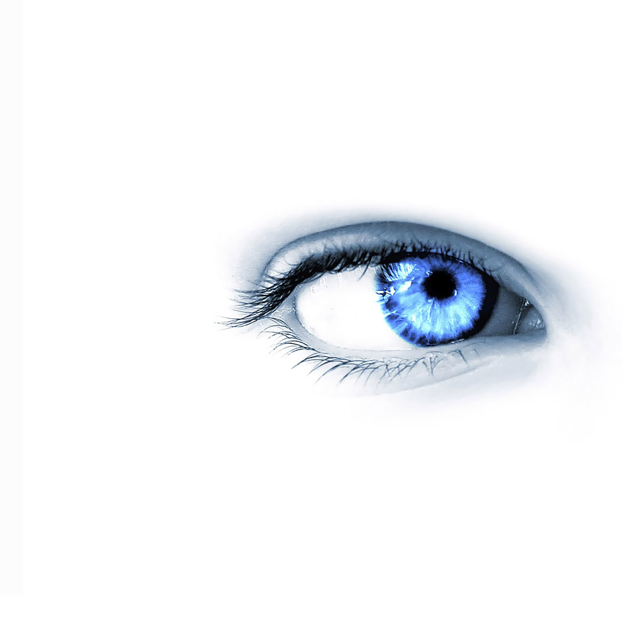 fondo de pantalla ipad blanco,ojo,azul,pestaña,ceja,iris