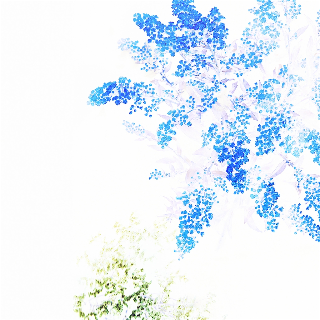 fondo de pantalla ipad blanco,azul,línea,modelo,planta