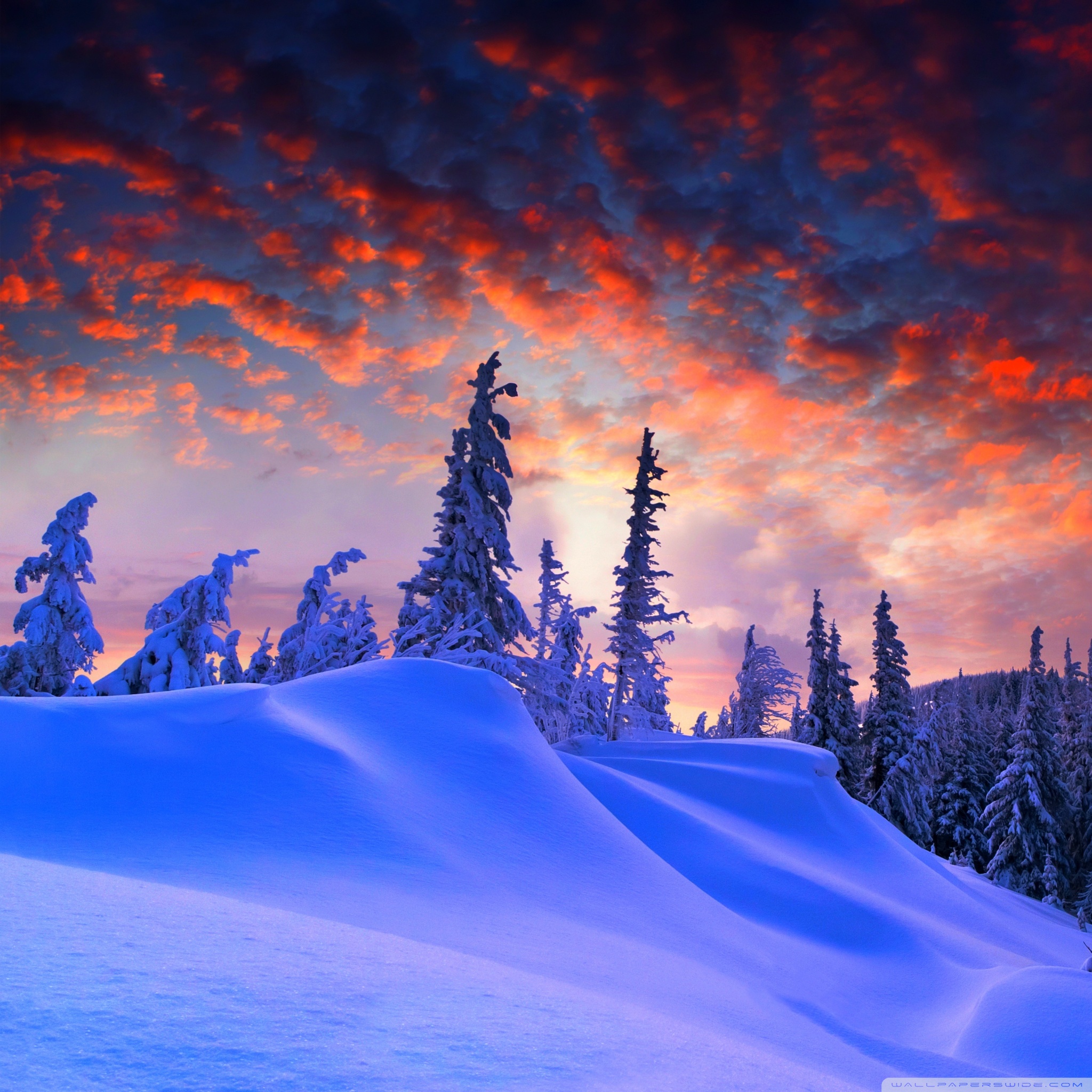 아이 패드 미니 무료 배경 화면,자연,눈,하늘,자연 경관,겨울