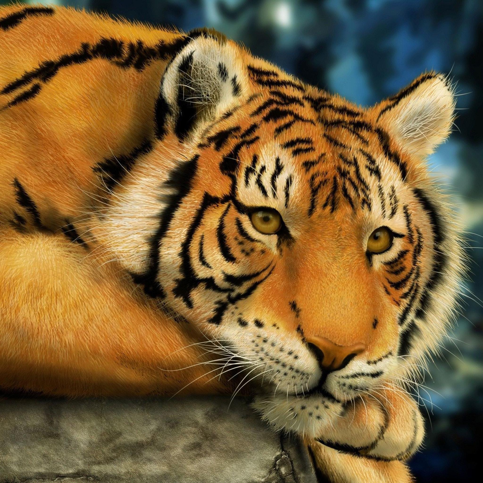 fonds d'écran ipad pro,tigre,faune,animal terrestre,tigre du bengale,moustaches