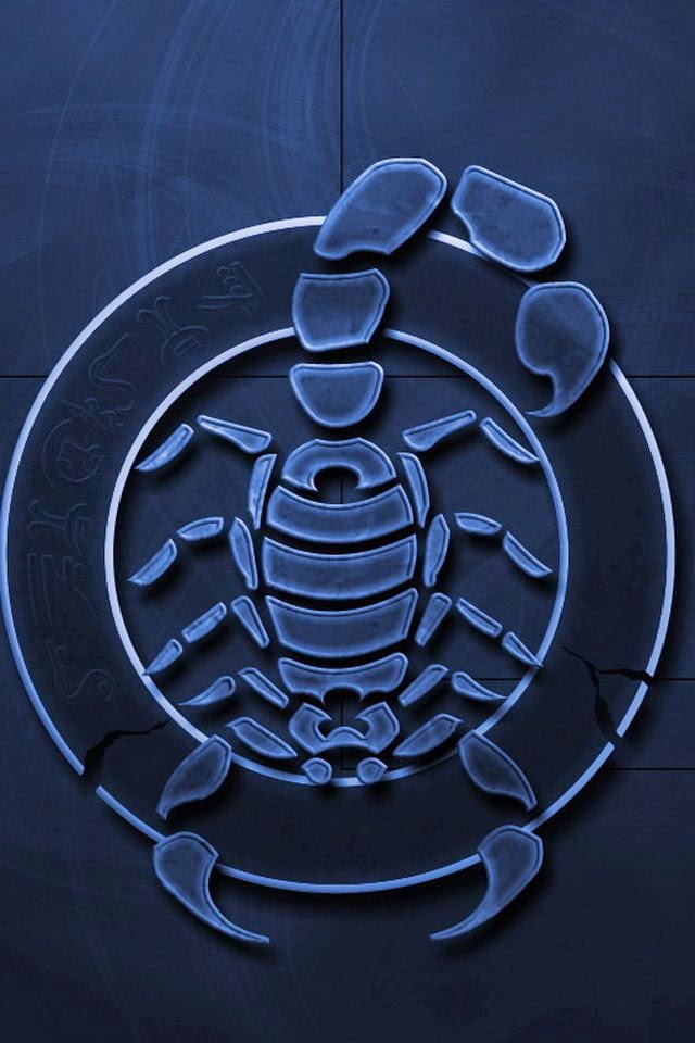 wallpaper untuk iphone 6,turtle,crab