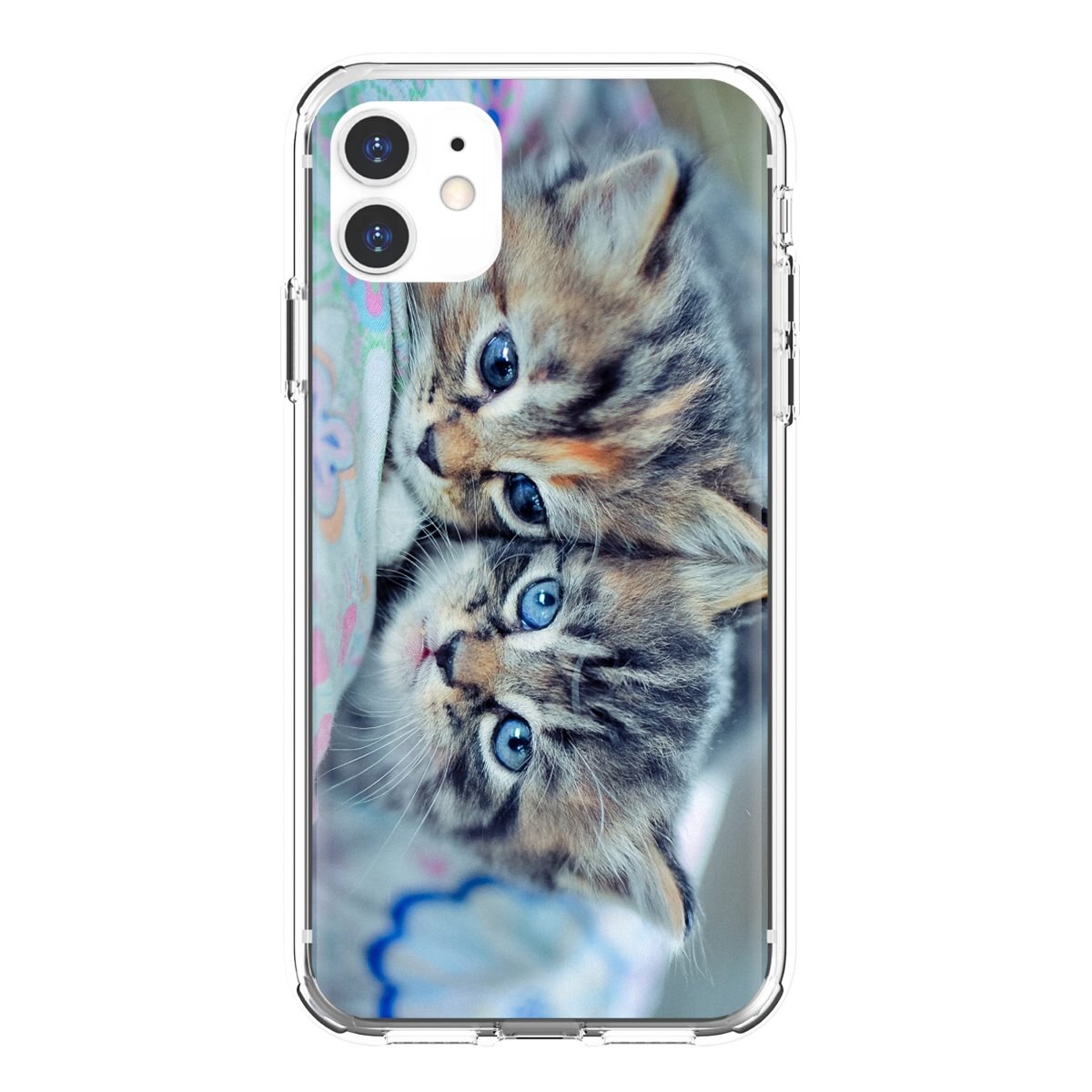 wallpaper untuk iphone 6,cat,felidae,kitten,small to medium sized cats,tabby cat