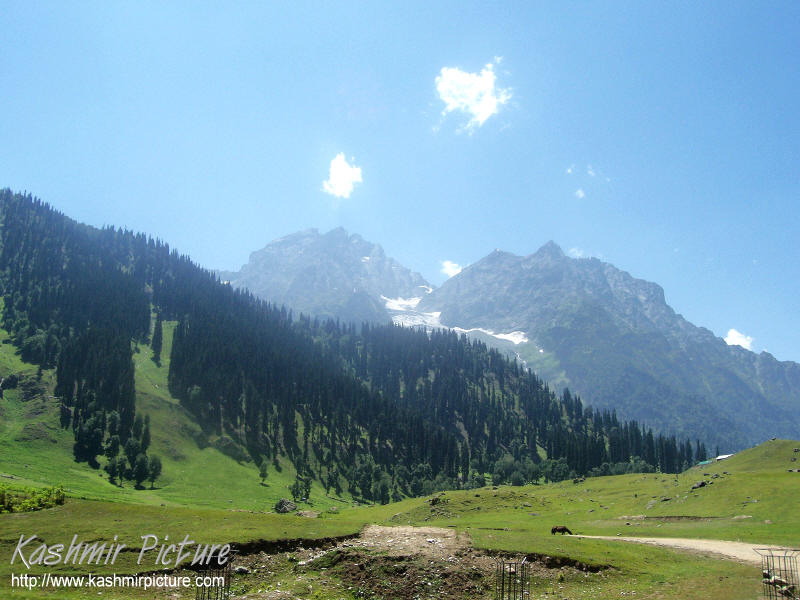 pani wala wallpaper,mountainous landforms,highland,mountain,natural landscape,hill station