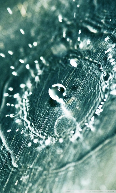 water drop wallpaper for mobile,water,drop,water resources,close up,macro photography