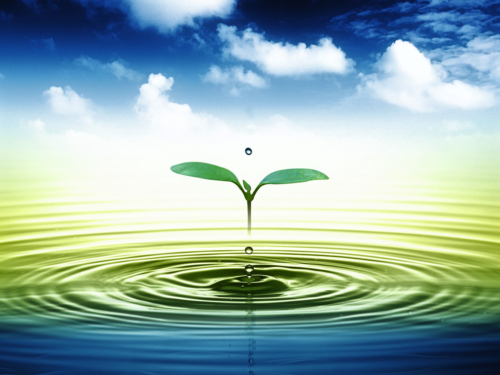 water 3d live wallpaper,water resources,water,nature,sky,green