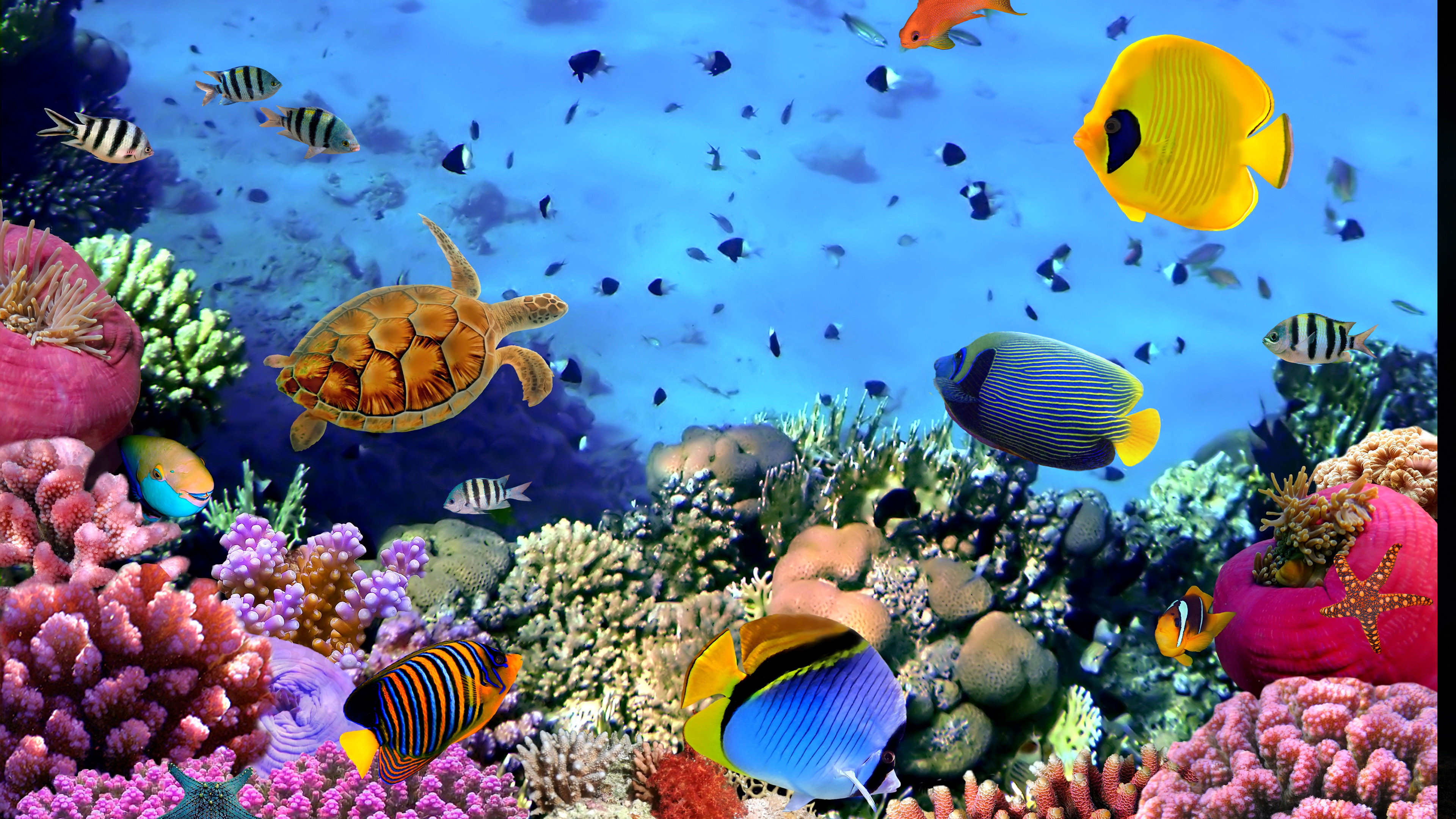 Desktop Aquarium 3d Live Wallpaper Image Num 32