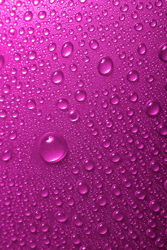 핑크 워터 벽지,하락,물,분홍,보라색,제비꽃