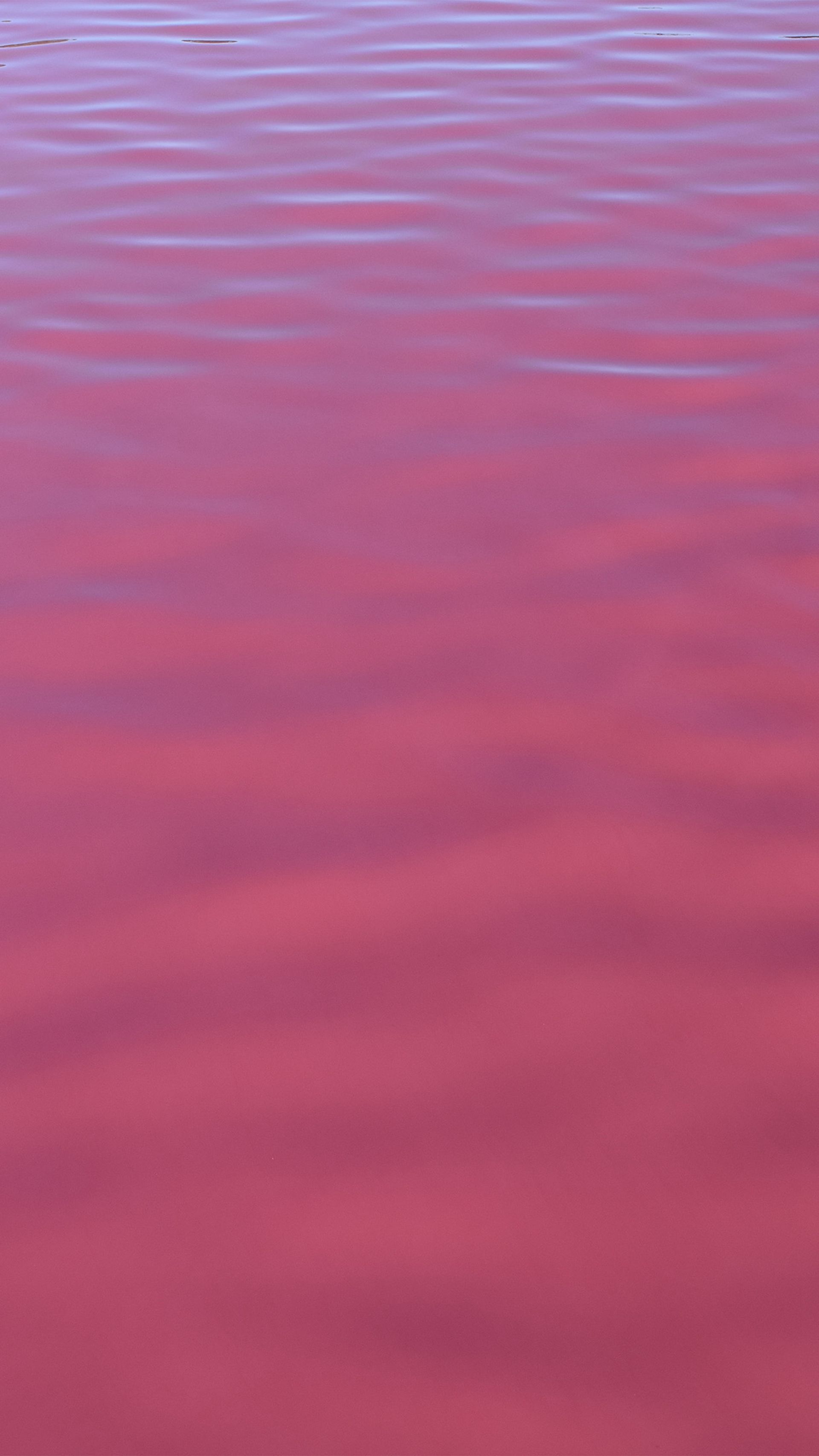 ピンクの水の壁紙,ピンク,赤,紫の,バイオレット,ライラック