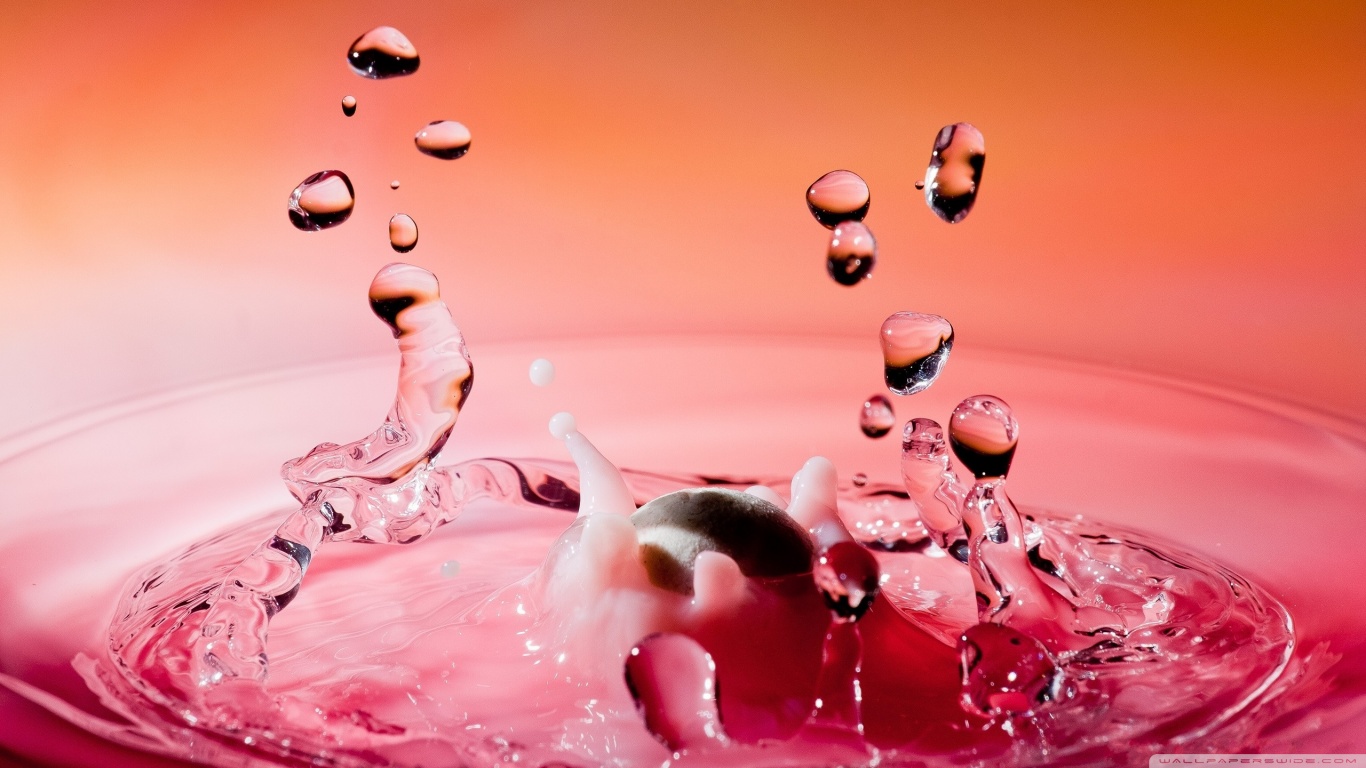 핑크 워터 벽지,물,분홍,하락,액체,매크로 사진