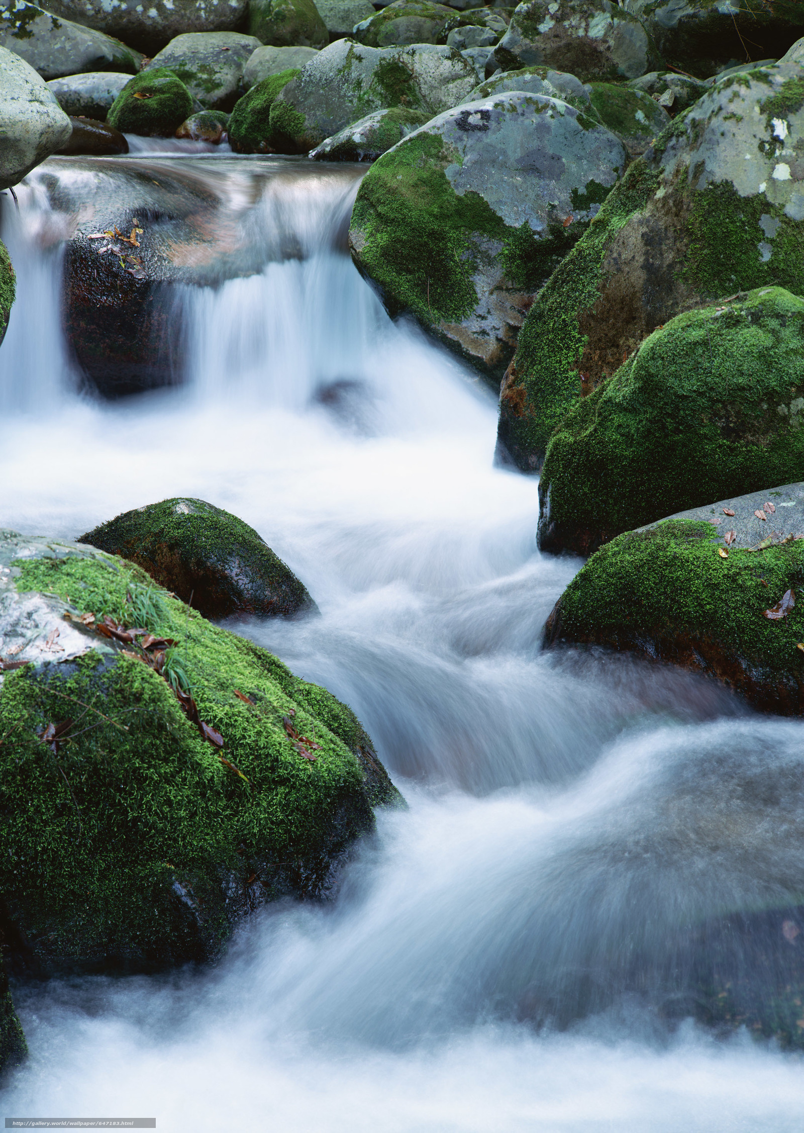 water flow wallpaper,water resources,body of water,natural landscape,stream,nature