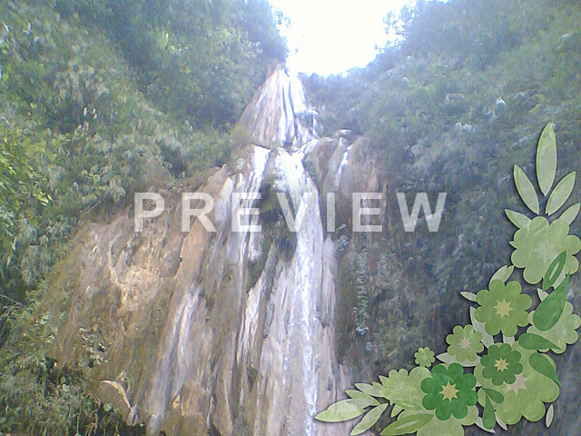 jharna wallpaper,cascata,natura,paesaggio naturale,foresta pluviale,stazione di collina