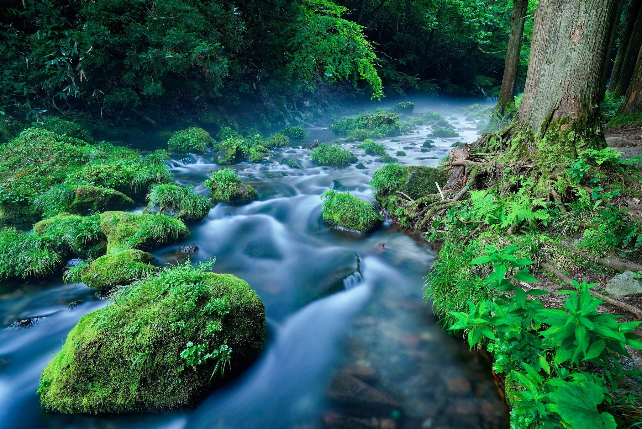 緑の水の壁紙,水域,自然の風景,自然,水資源,ストリーム