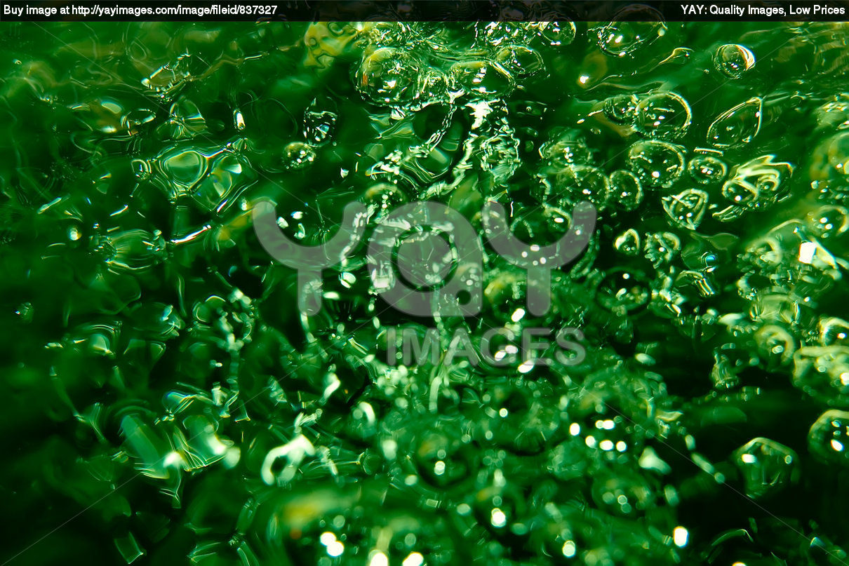fondo de pantalla de agua verde,verde,agua,naturaleza,hoja,césped
