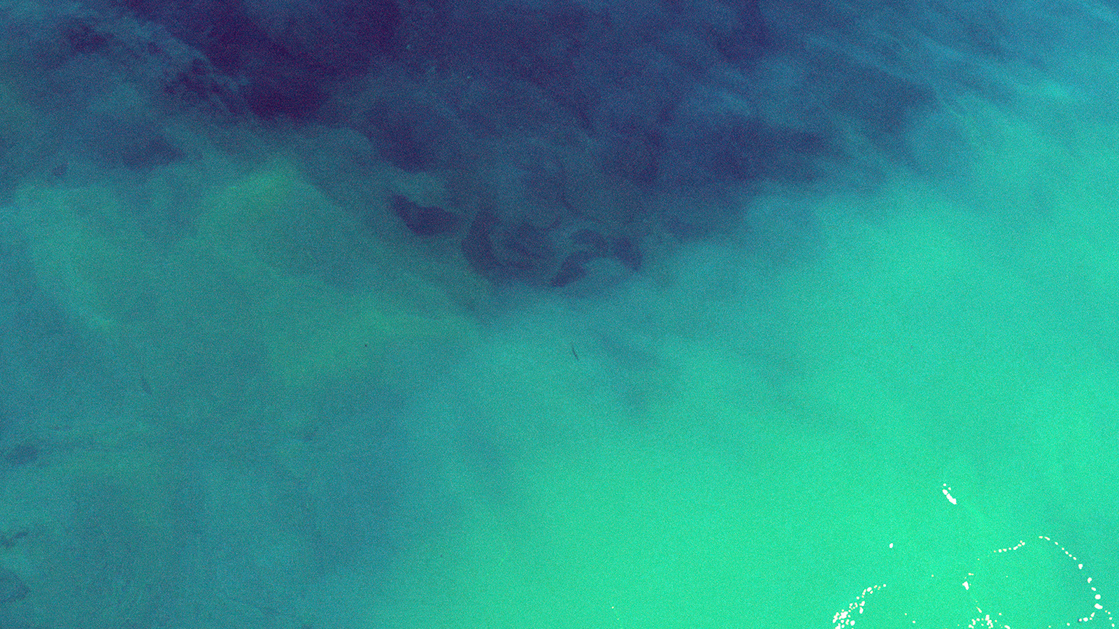 fondo de pantalla de agua verde,azul,verde,agua,turquesa,agua
