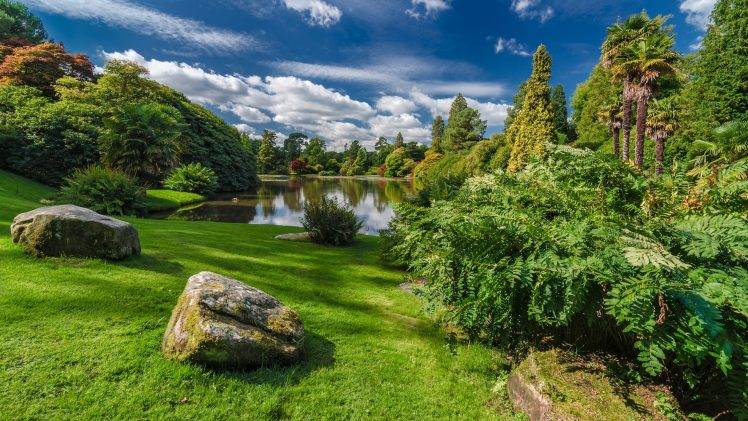 wasserpark tapete,natürliche landschaft,natur,baum,wasser,himmel