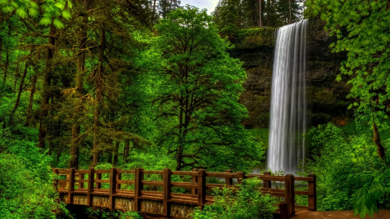 fondo de pantalla de parque acuático,paisaje natural,naturaleza,bosque,árbol,bosque de crecimiento antiguo