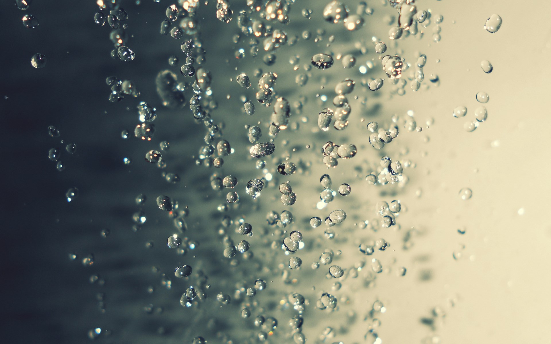 rain water wallpaper,water,moisture,drop,liquid bubble,dew