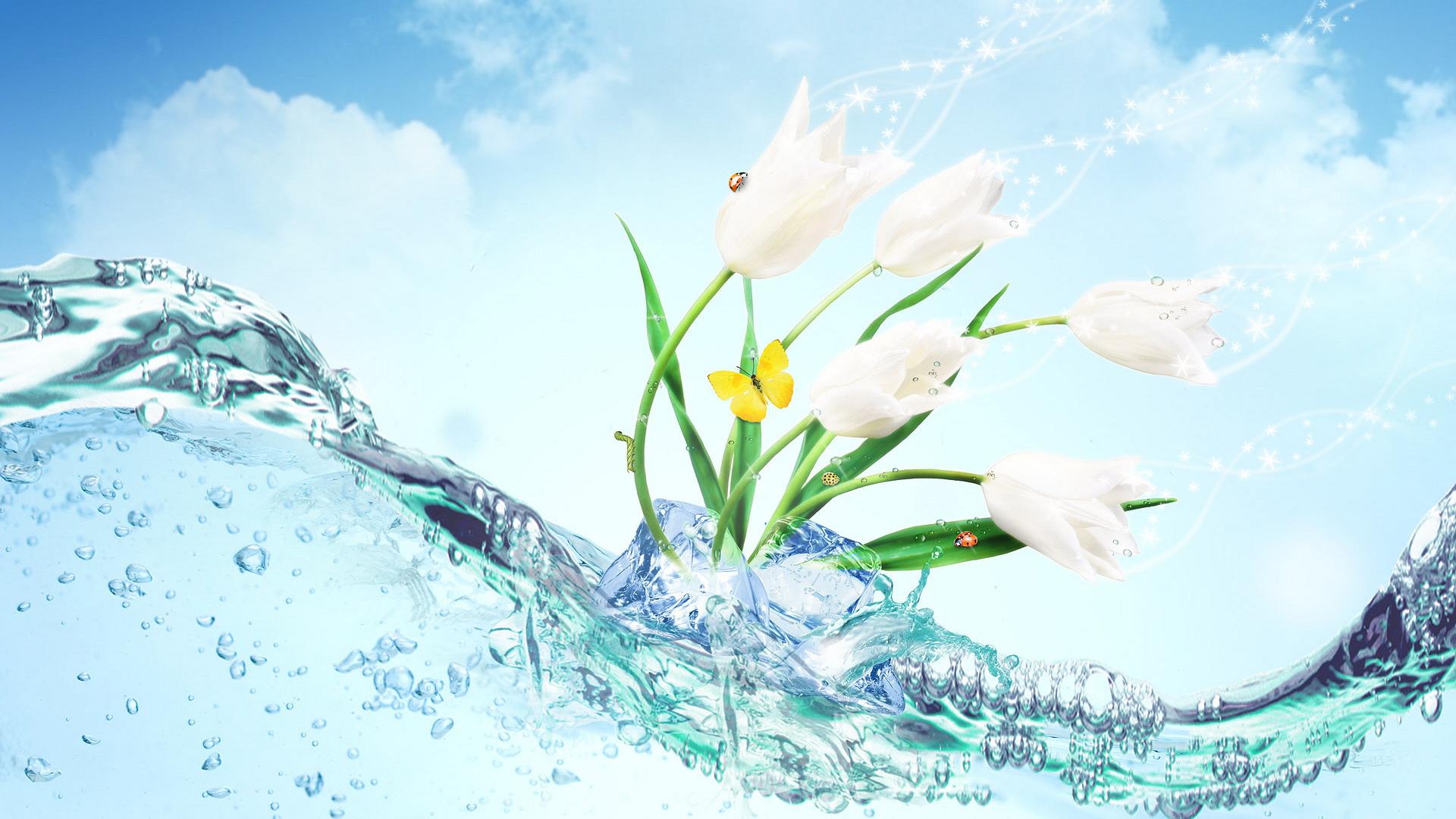 papel pintado agua flor,flor,planta,agua,campanilla de febrero,primavera