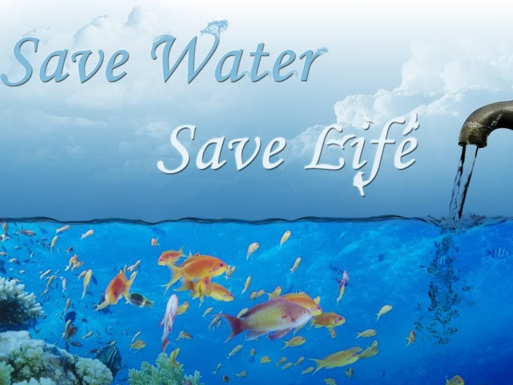 水の生活の壁紙,水,テキスト,フォント,海洋,海洋生物学