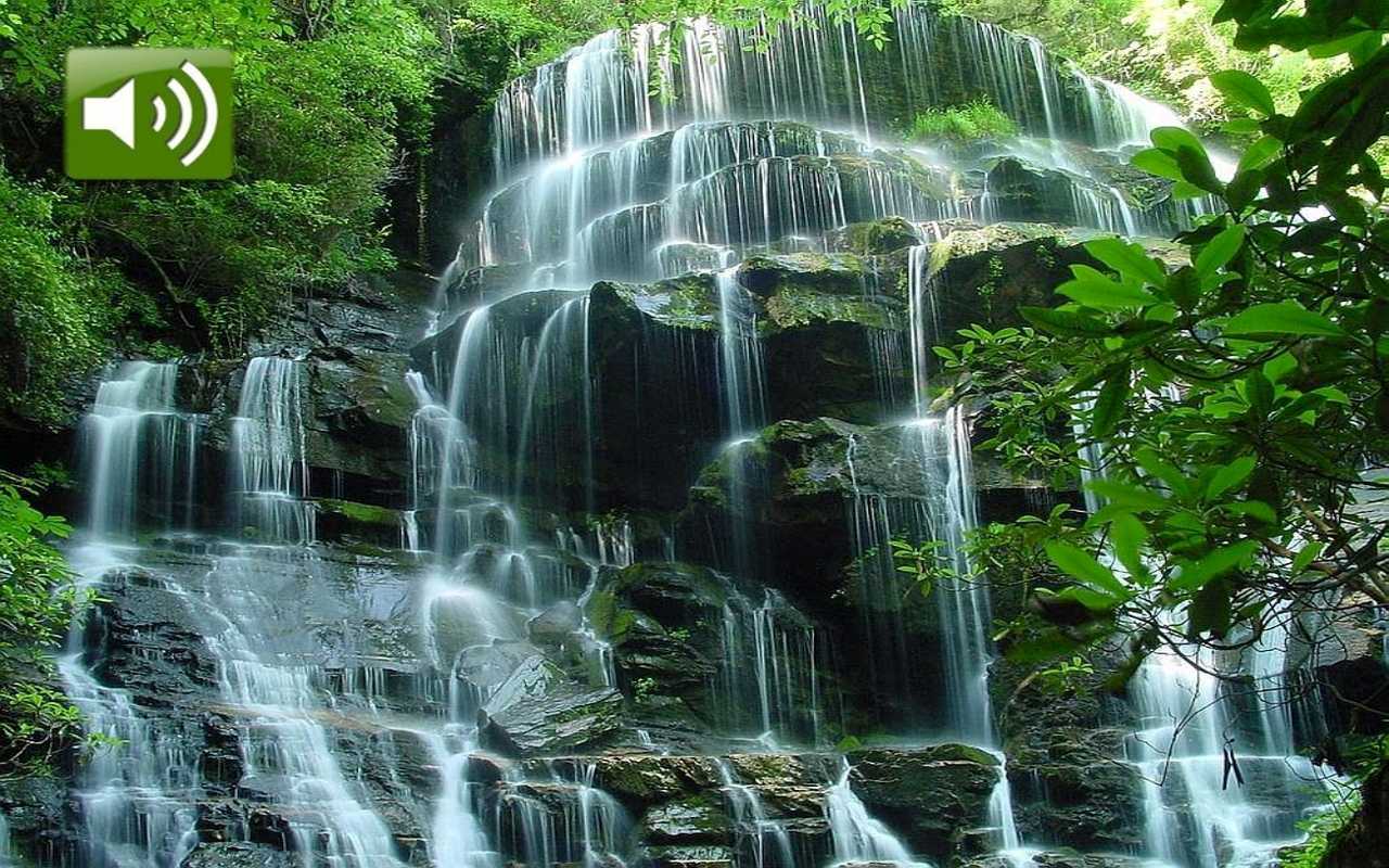 動く水の壁紙,滝,水資源,自然の風景,水域,自然