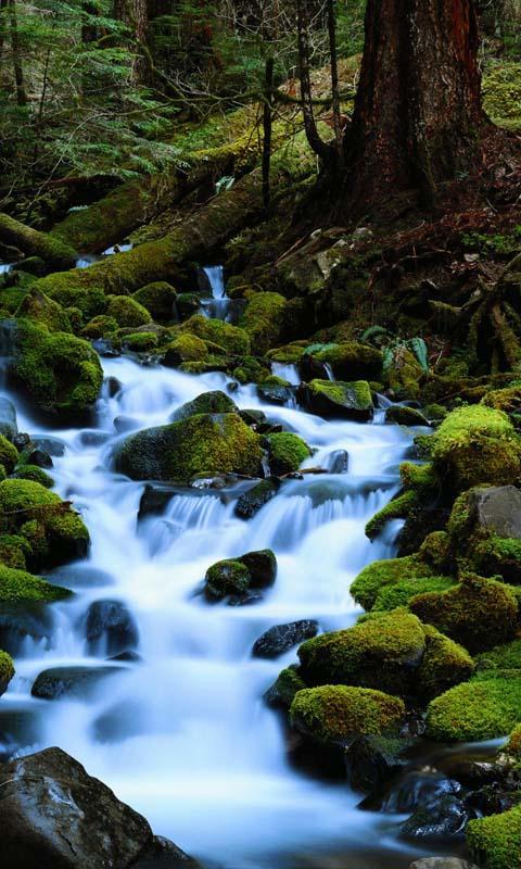 papel tapiz de agua en movimiento,corriente,cuerpo de agua,recursos hídricos,paisaje natural,naturaleza